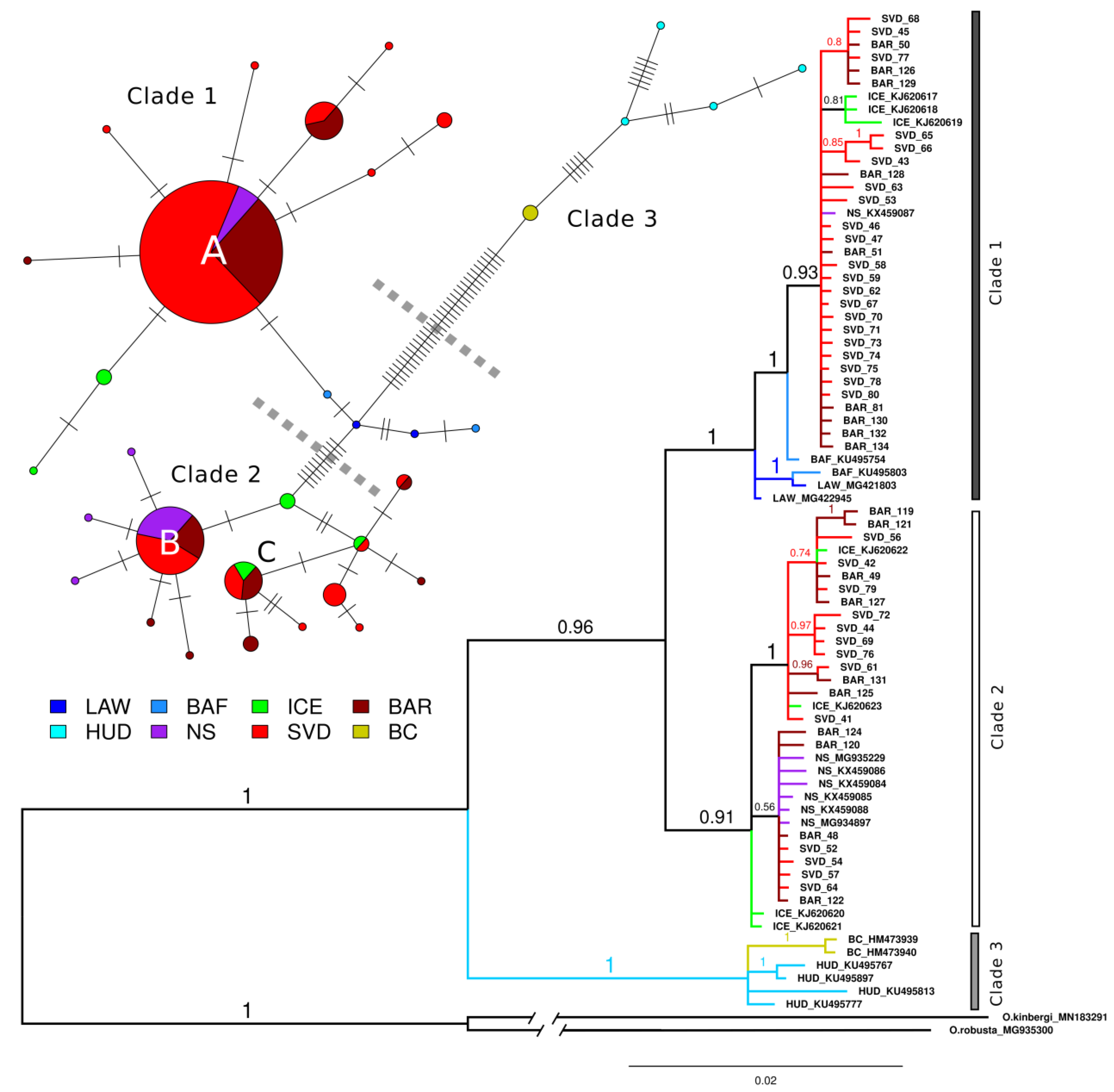 Diversity 13 00040 g002