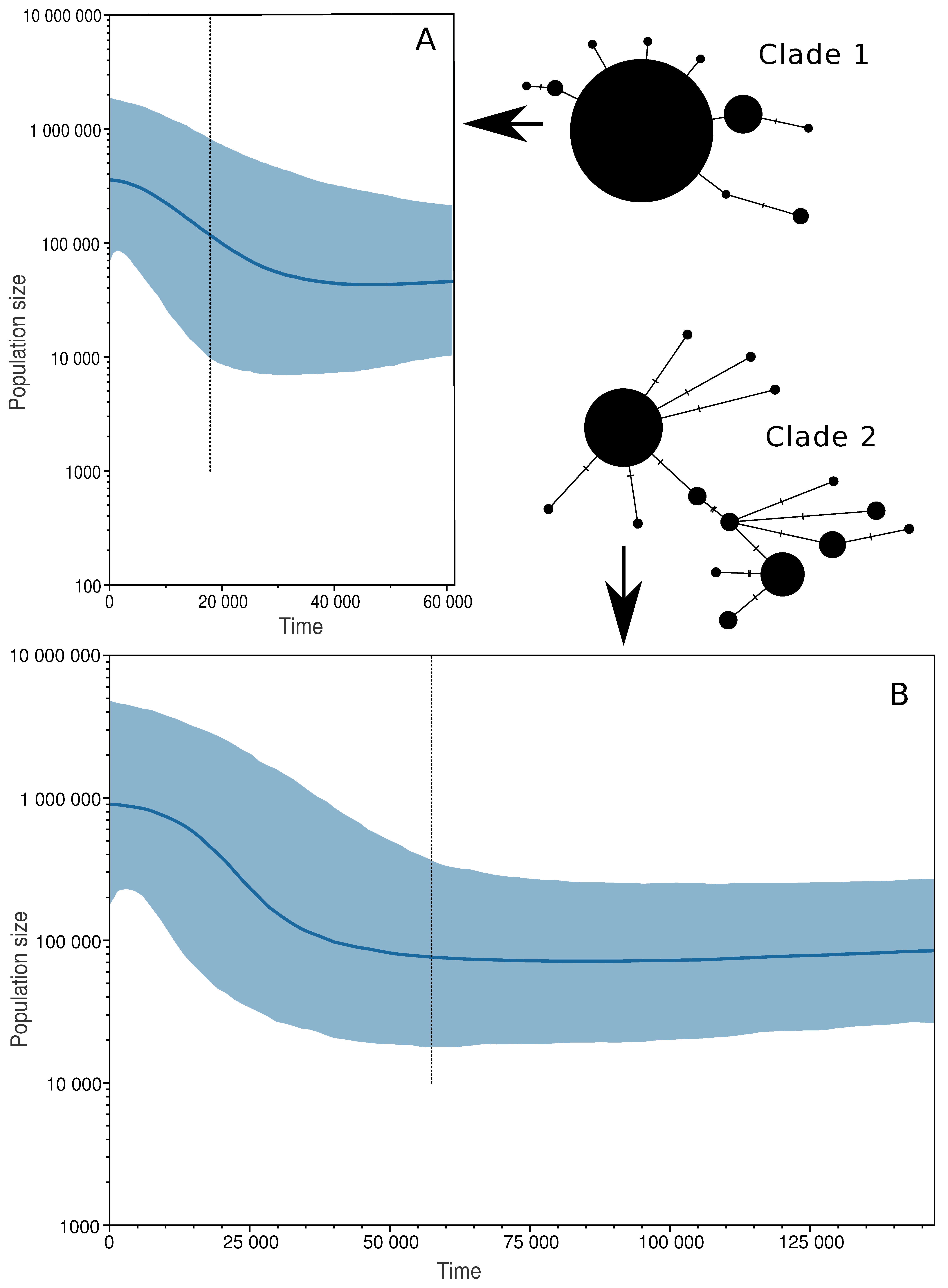 Diversity 13 00040 g004