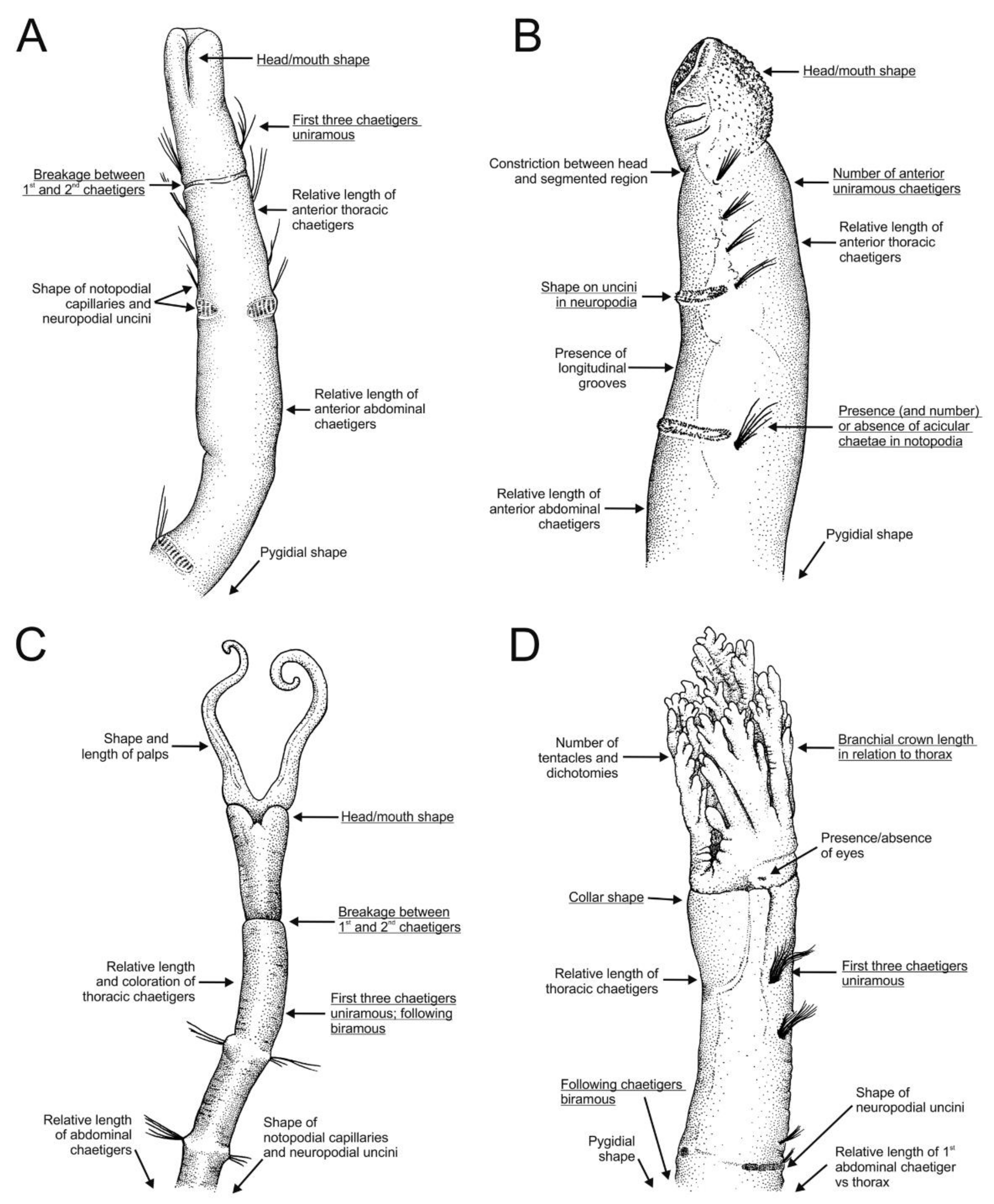 Diversity 13 00041 g015