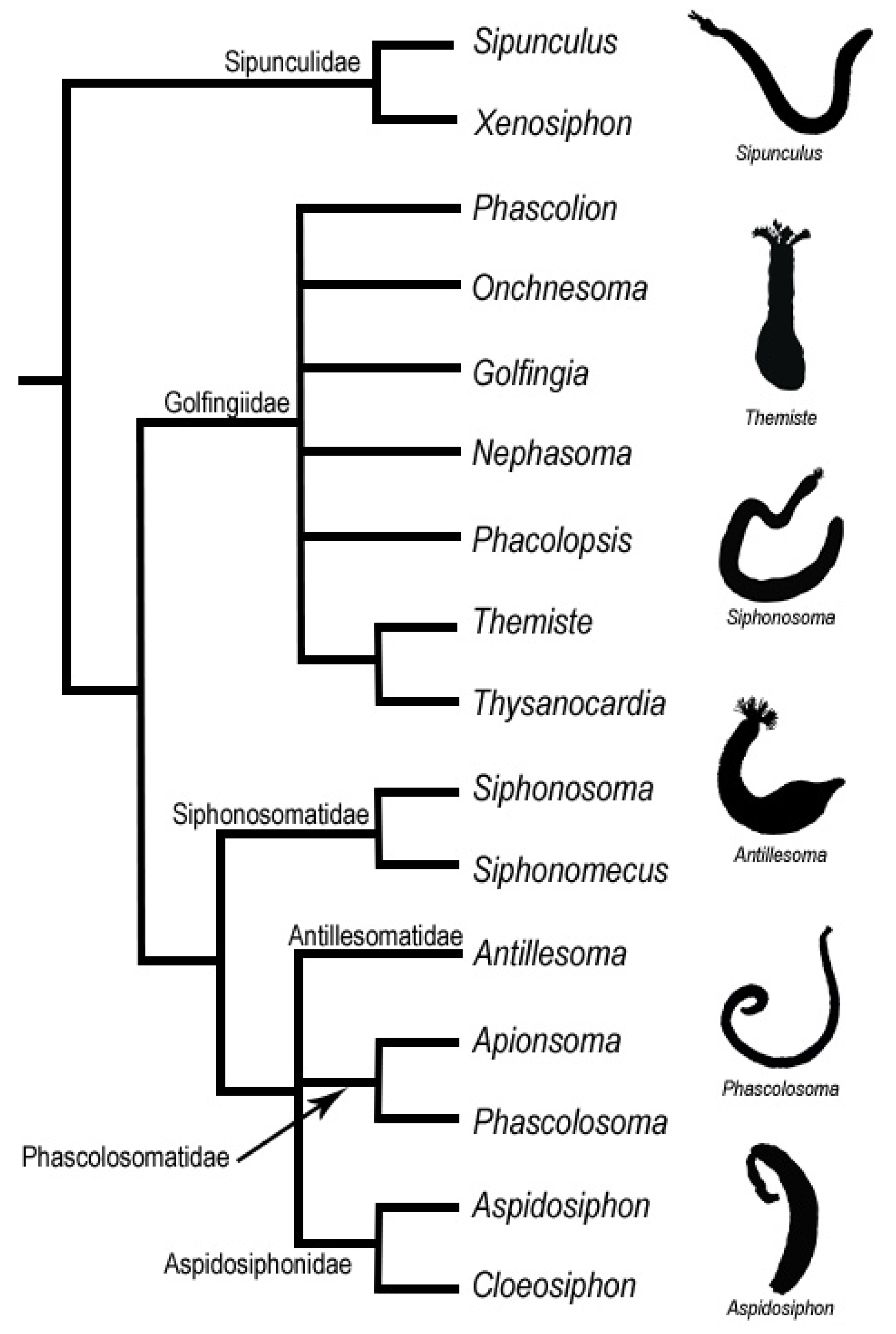 Diversity 13 00043 g001 Diversity 13 00043 g001