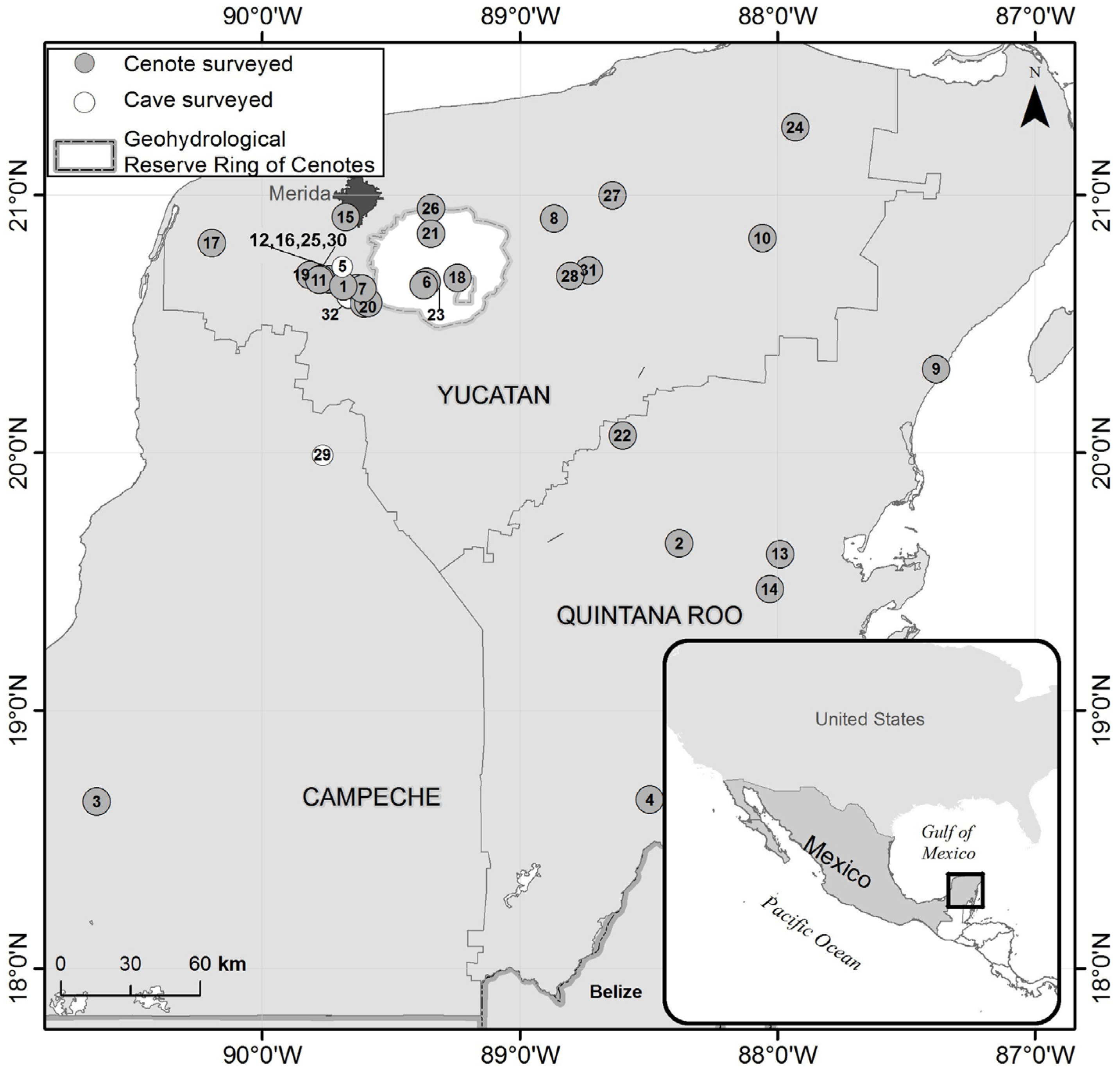 Diversity 13 00044 g001