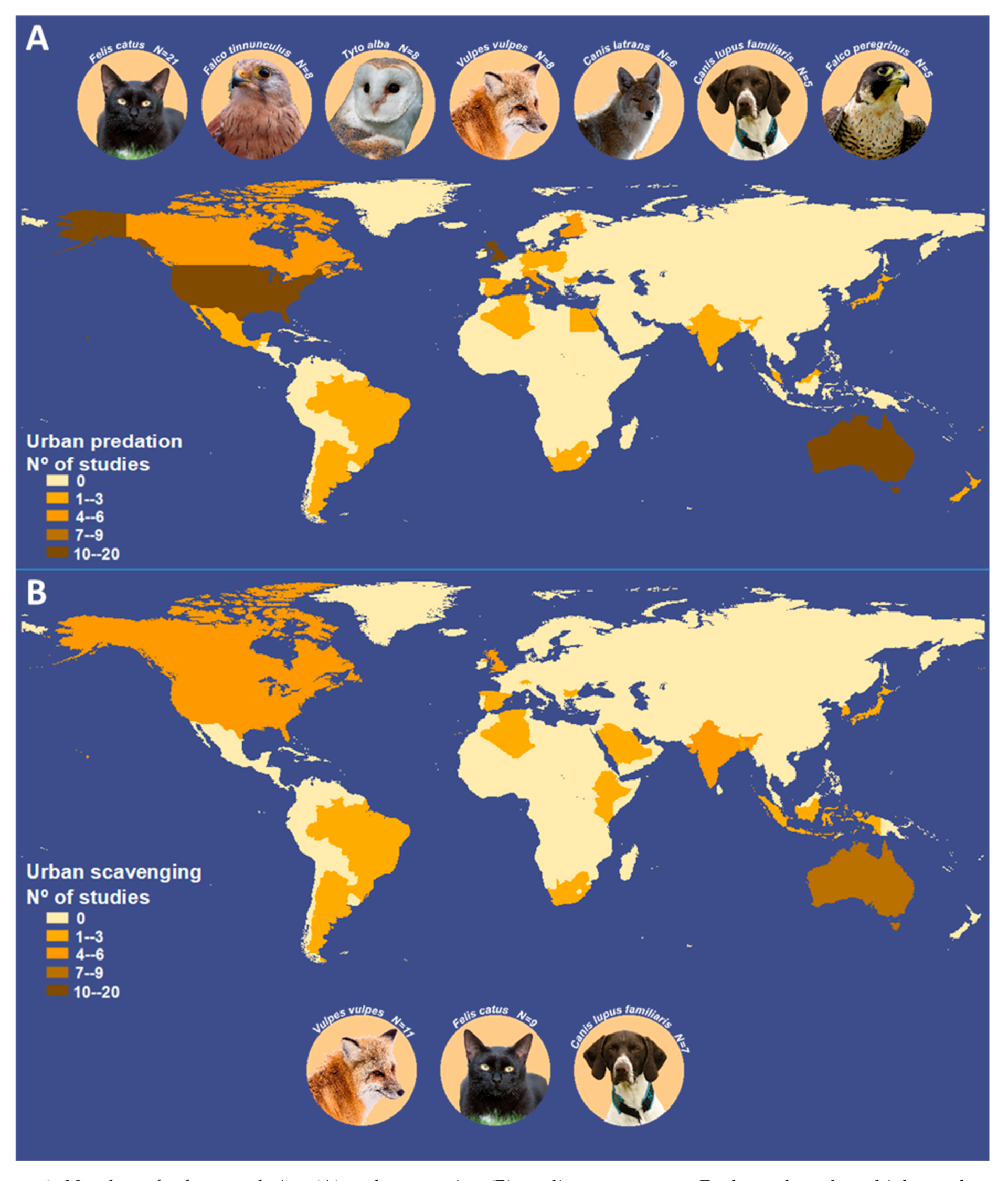 Diversity 13 00046 g002 Diversity 13 00046 g002