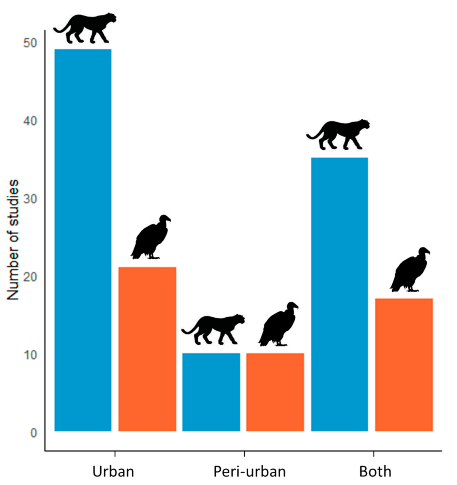 Diversity 13 00046 g003 Diversity 13 00046 g003