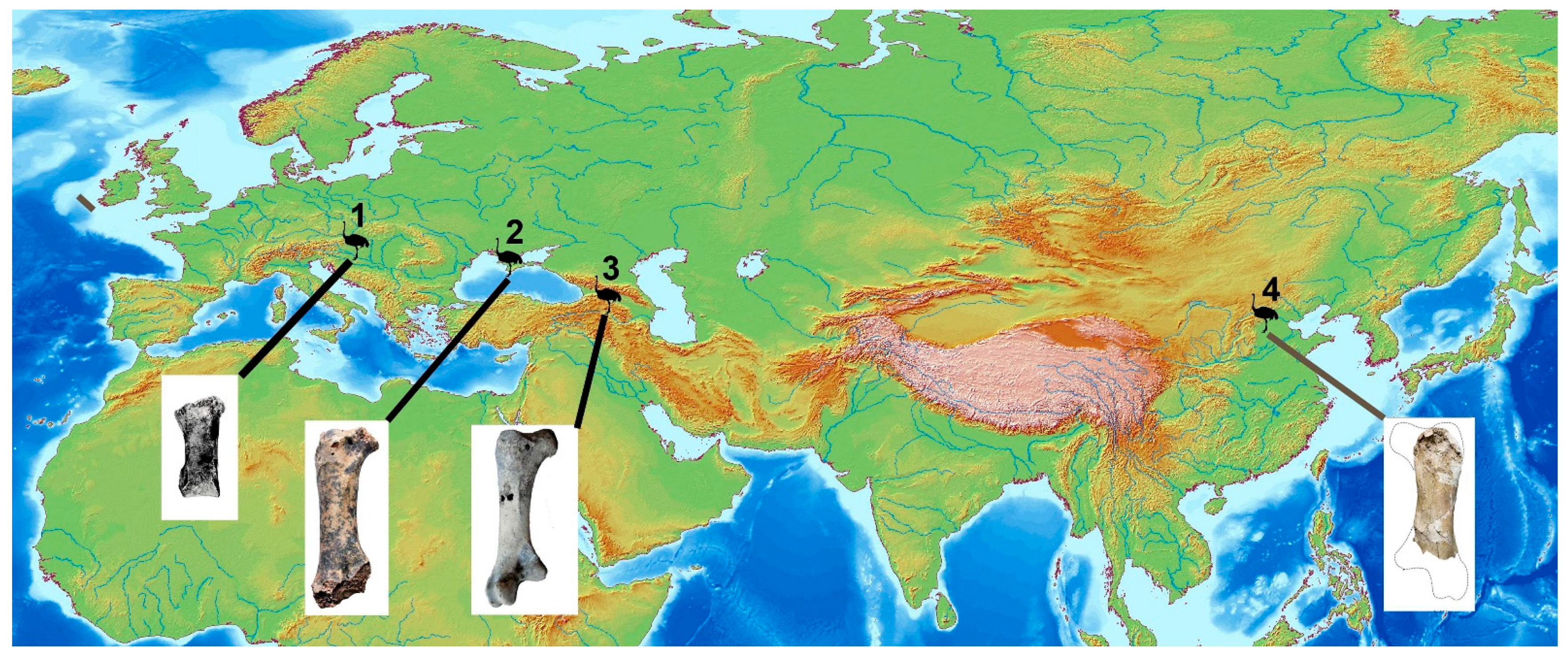 Diversity 13 00047 g005