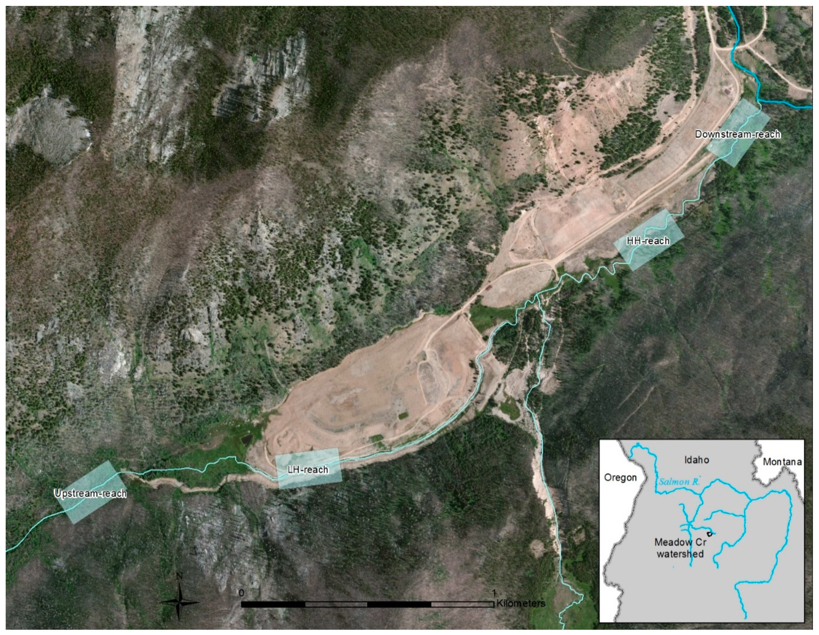 Diversity 13 00048 g001