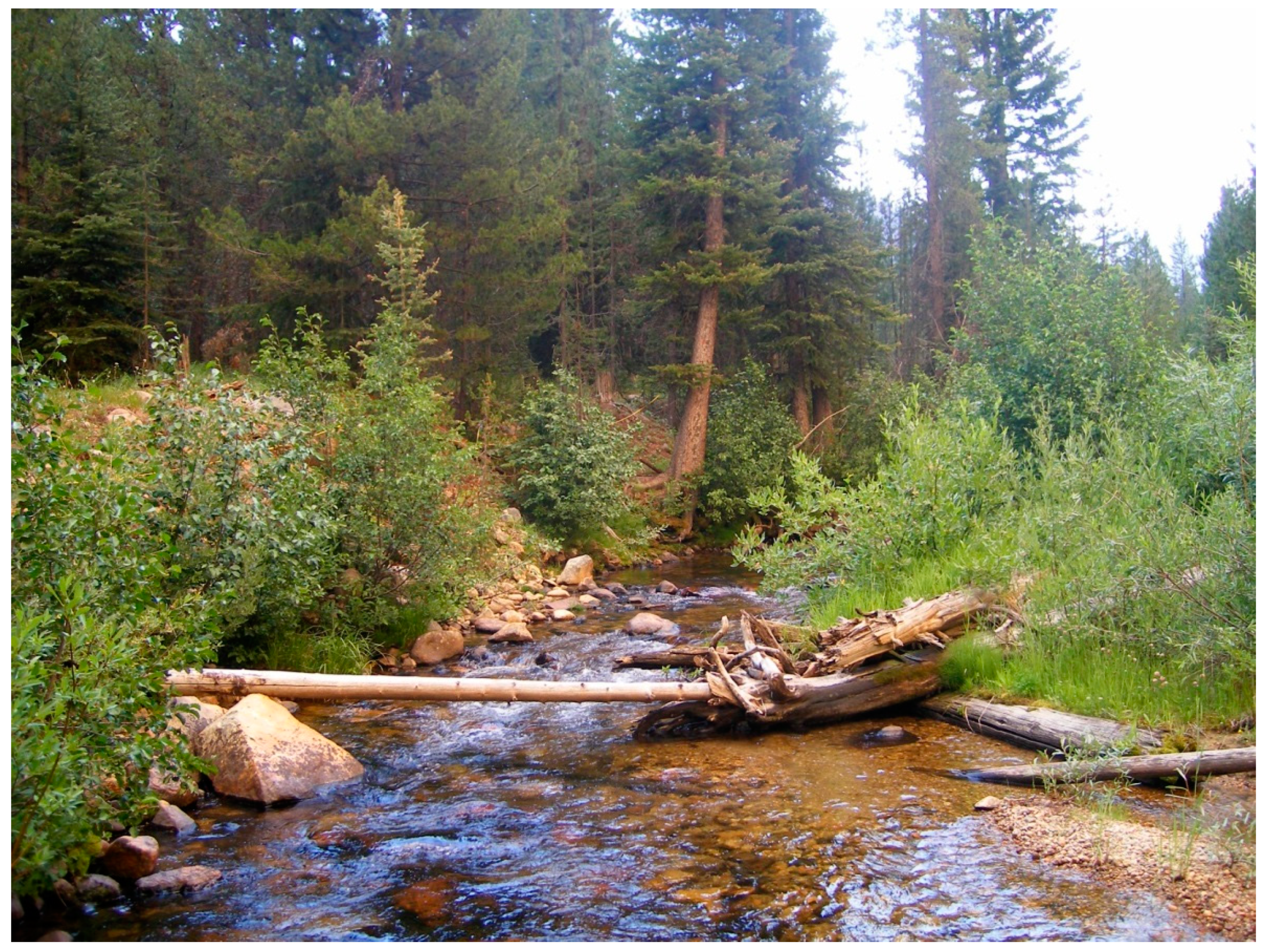 Diversity 13 00048 g0a3