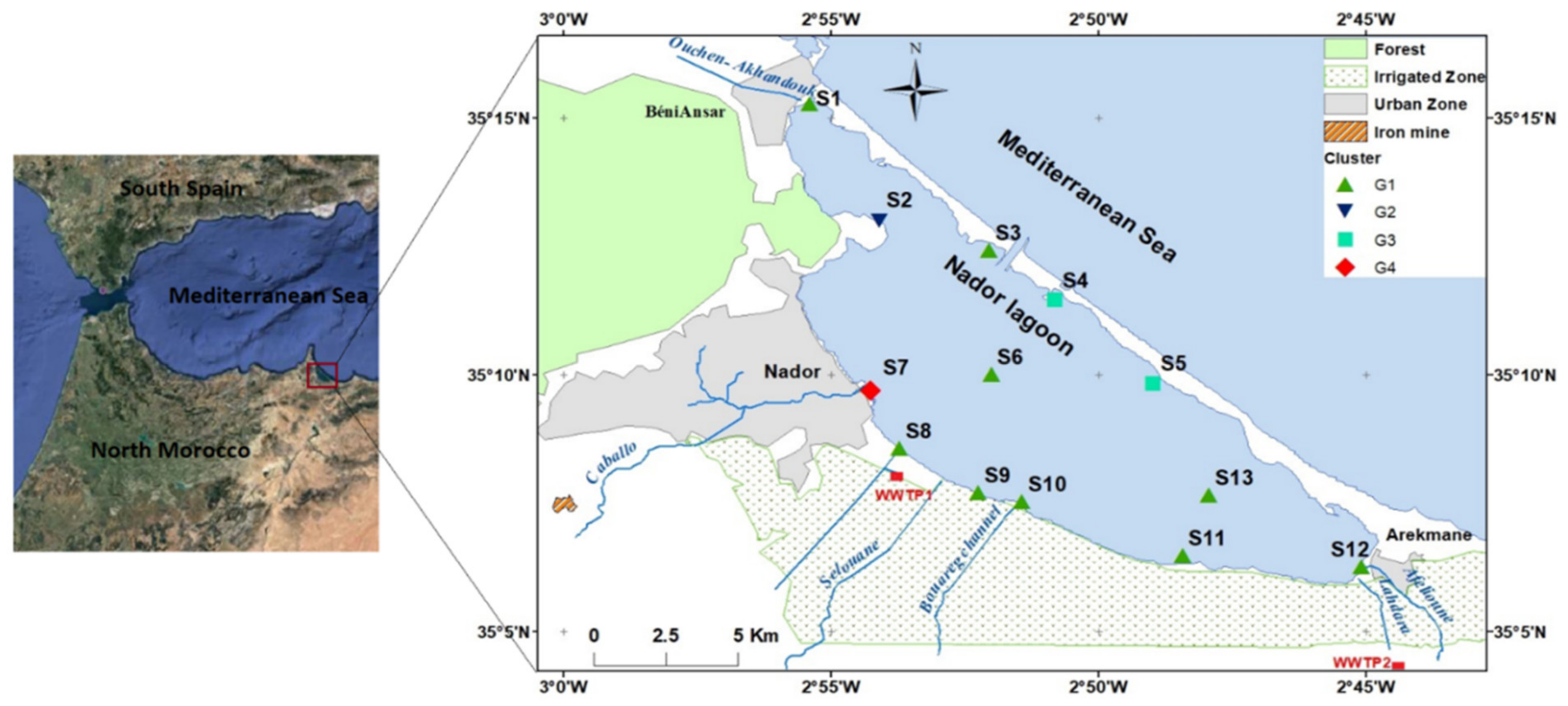 Diversity 13 00051 g001