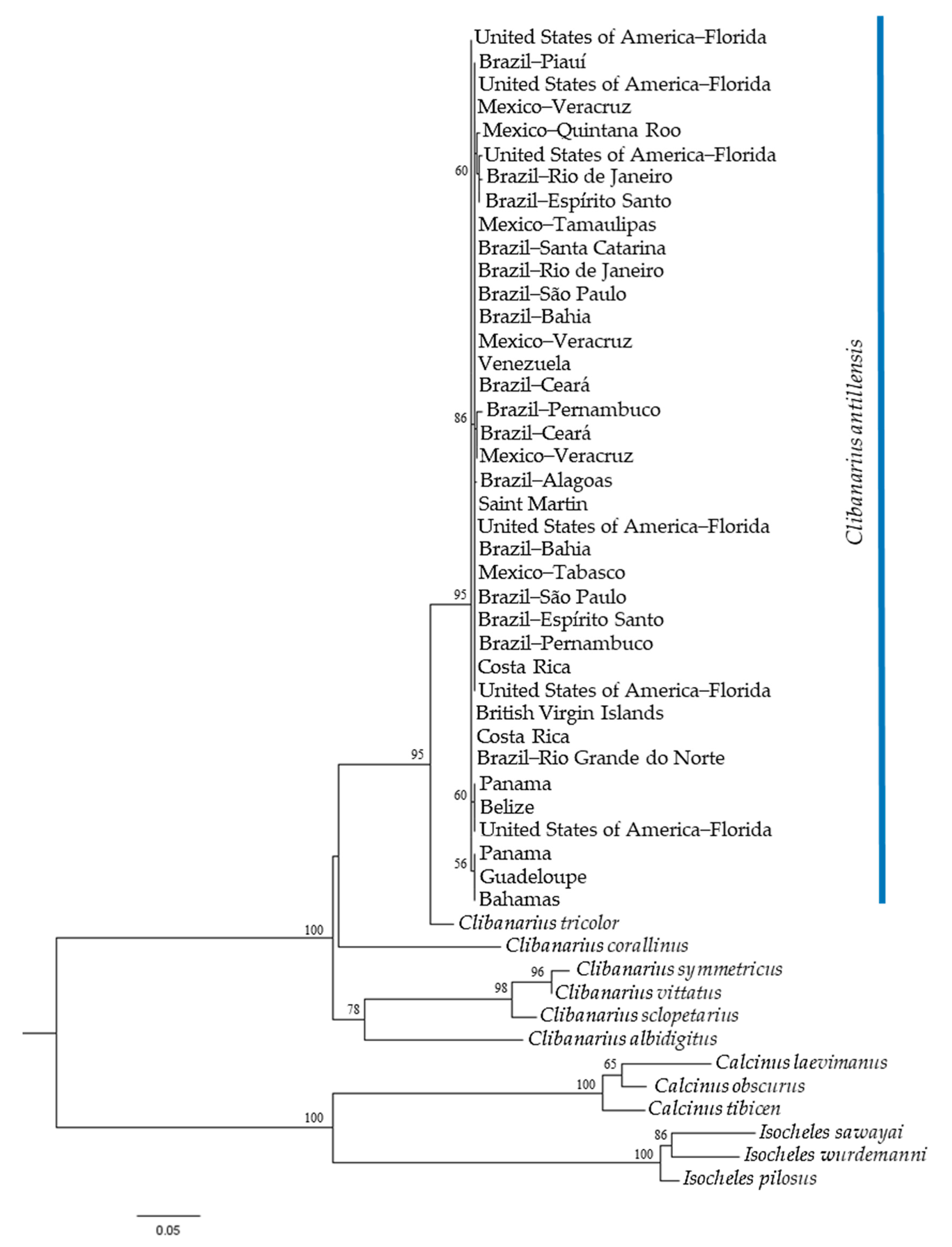 Diversity 13 00056 g004