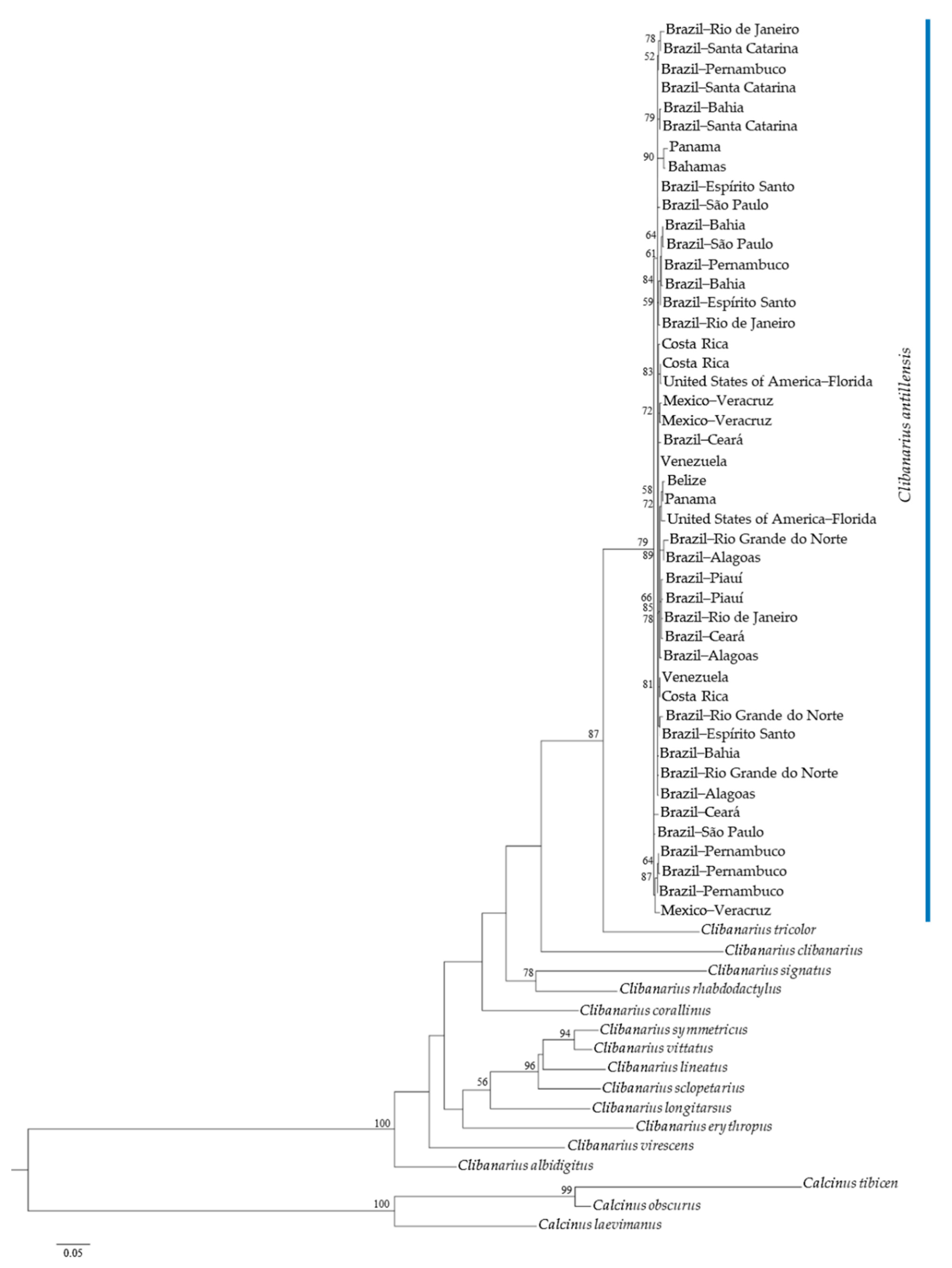 Diversity 13 00056 g005