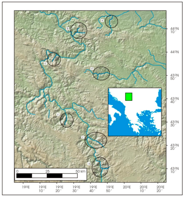 Diversity 13 00059 g001