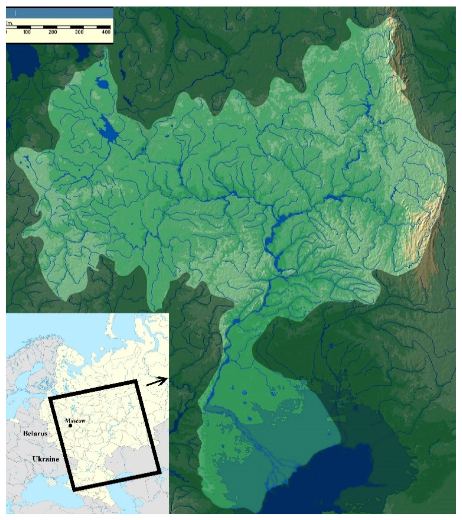 Diversity 13 00061 g001