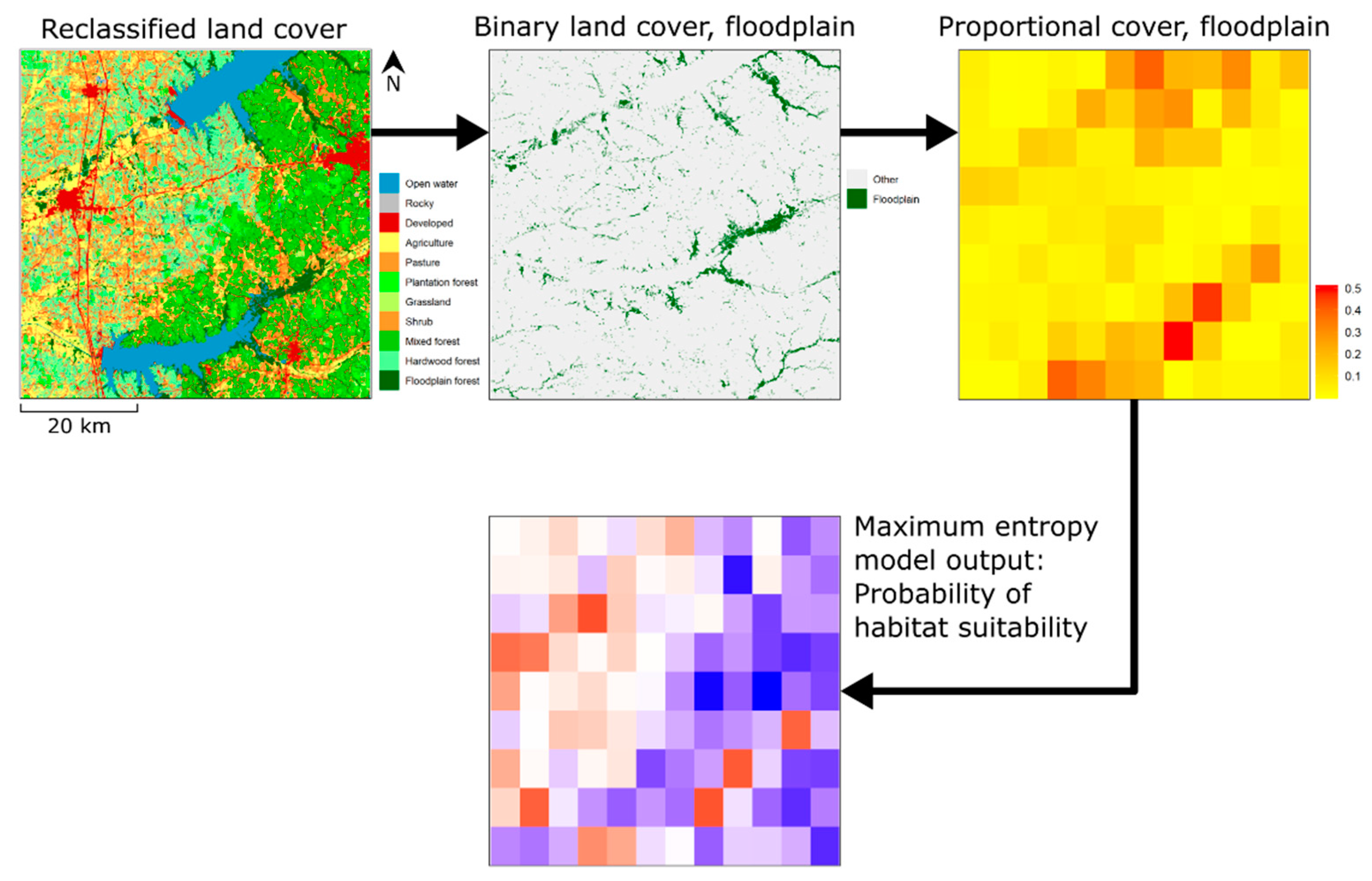 Diversity 13 00062 g001