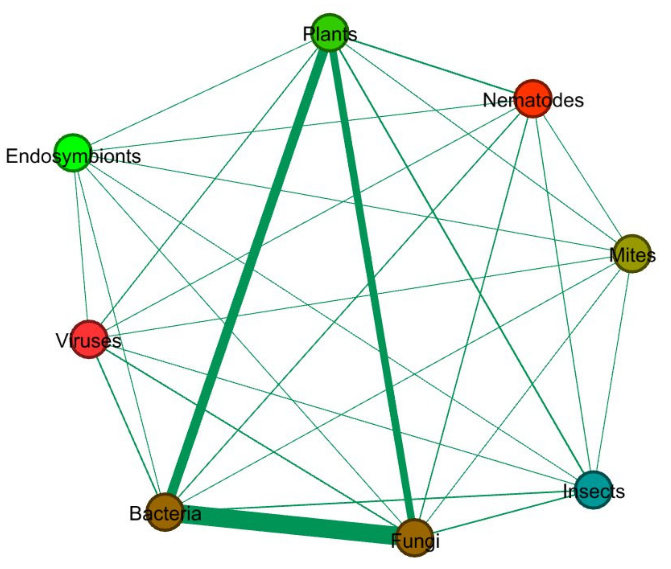 Diversity 13 00064 g001