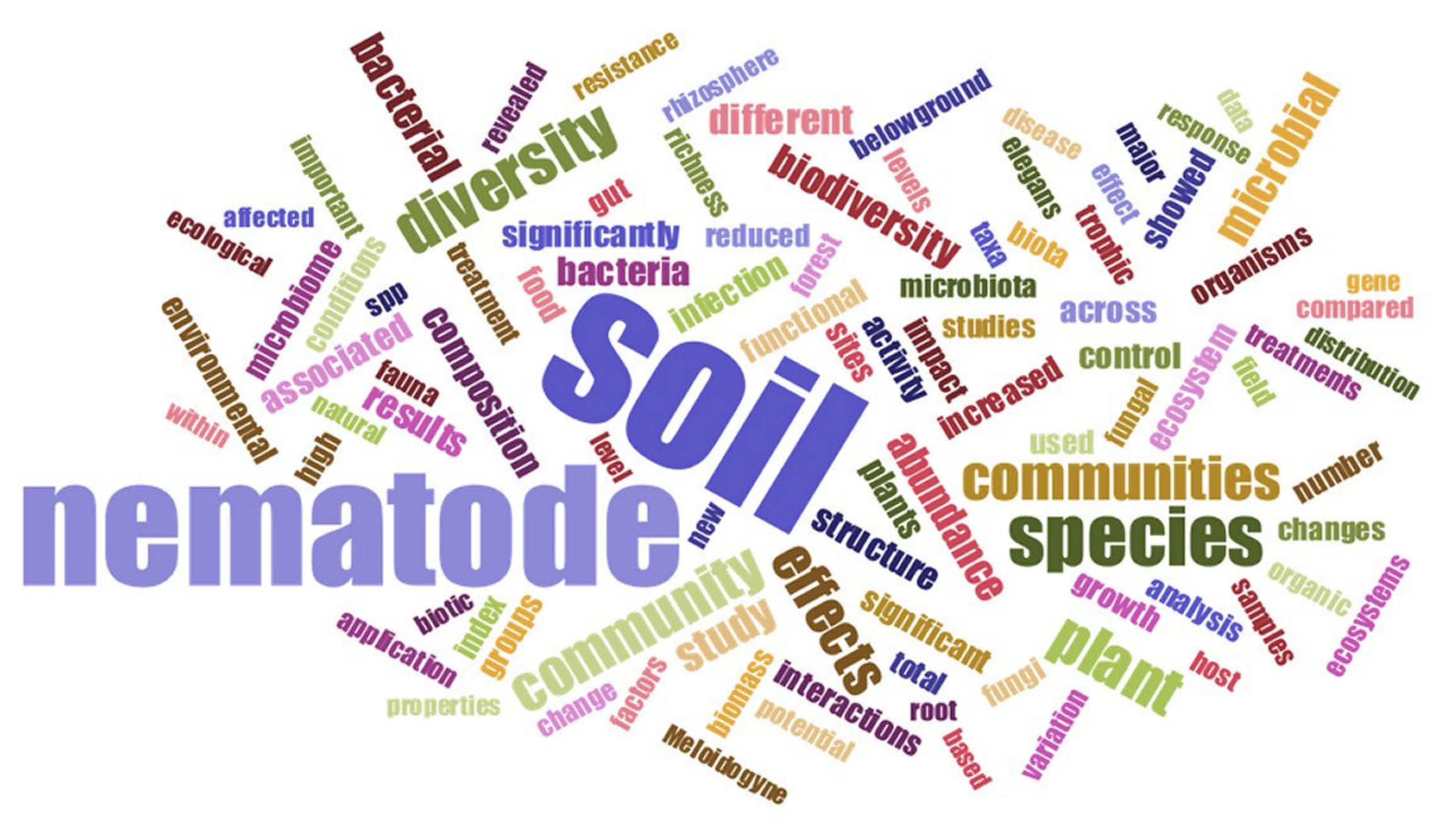 Diversity 13 00064 g002