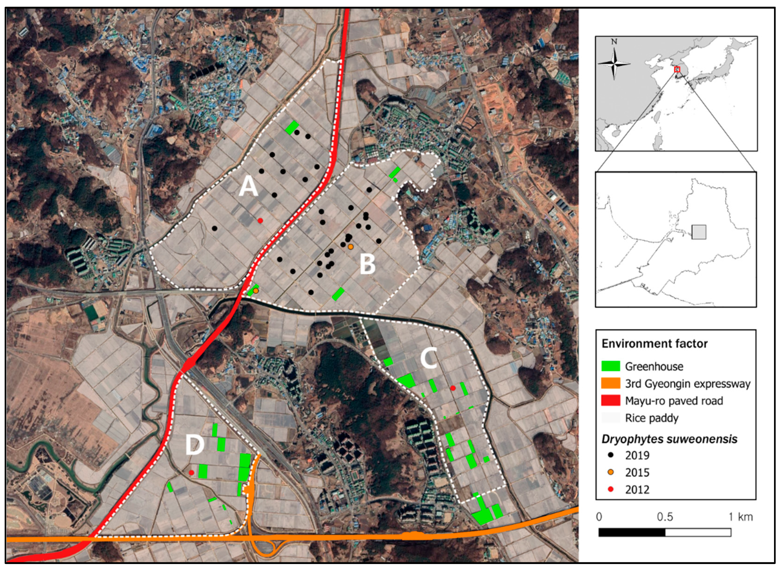 Diversity 13 00069 g001