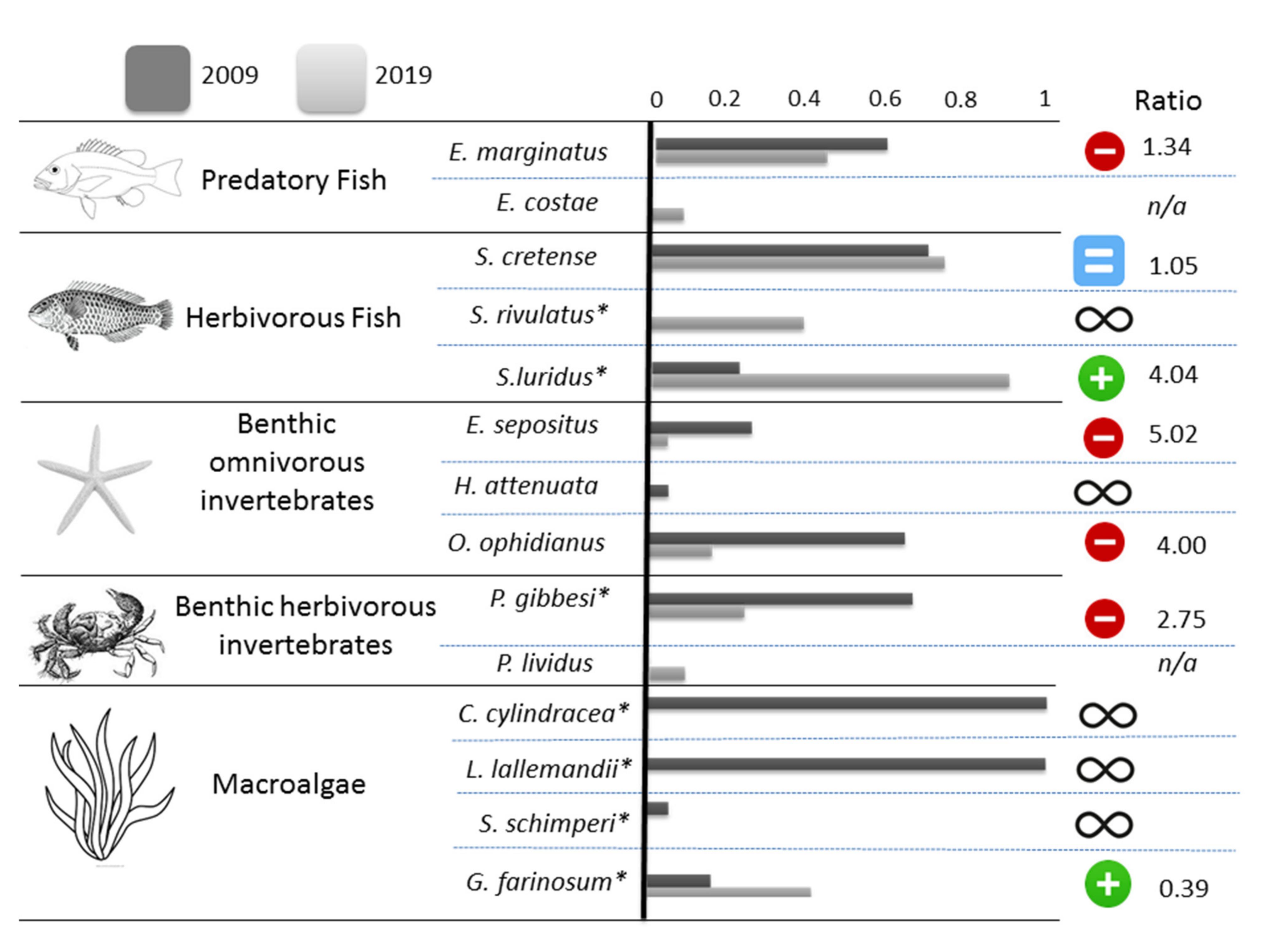Diversity 13 00071 g002 Diversity 13 00071 g002