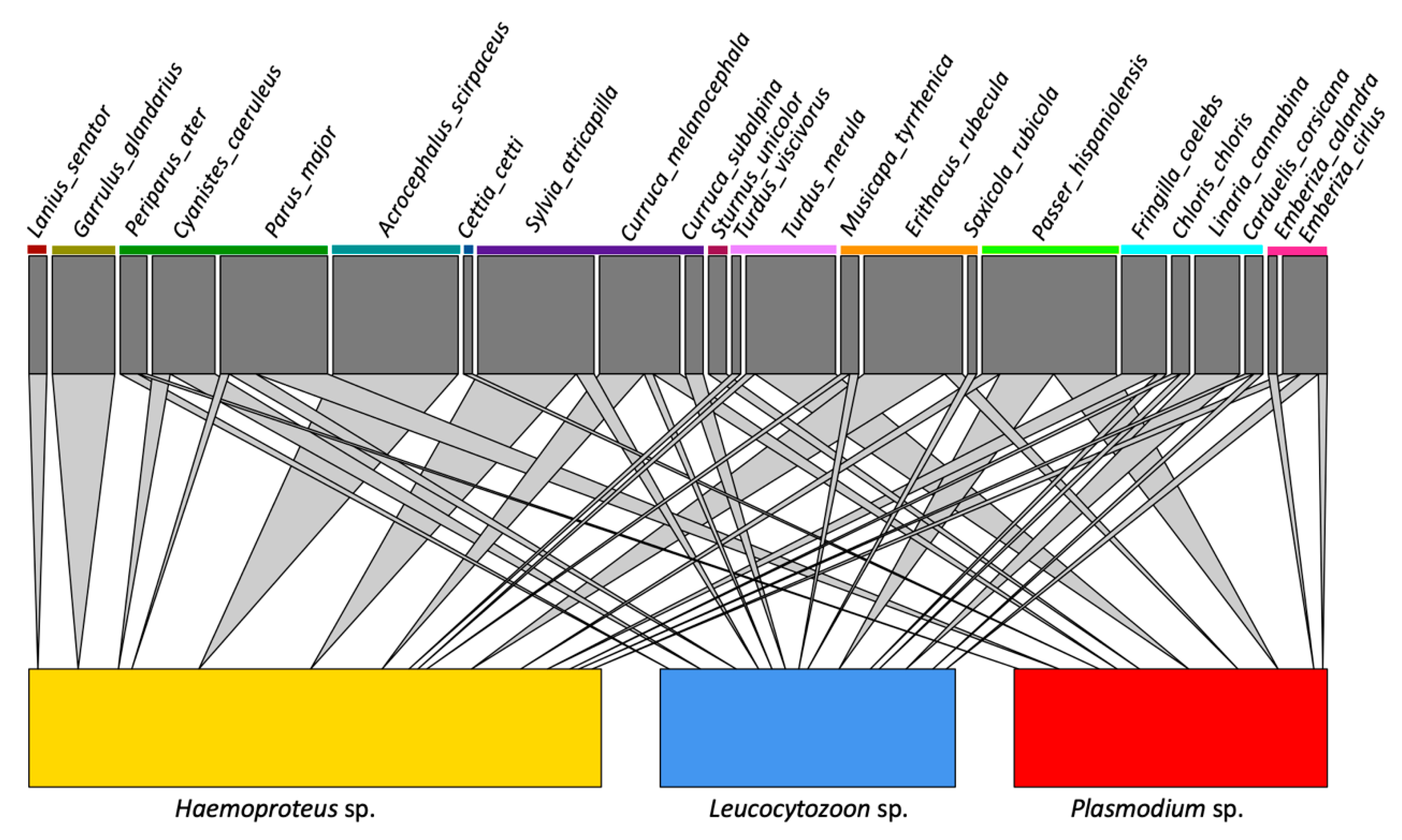 Diversity 13 00075 g002