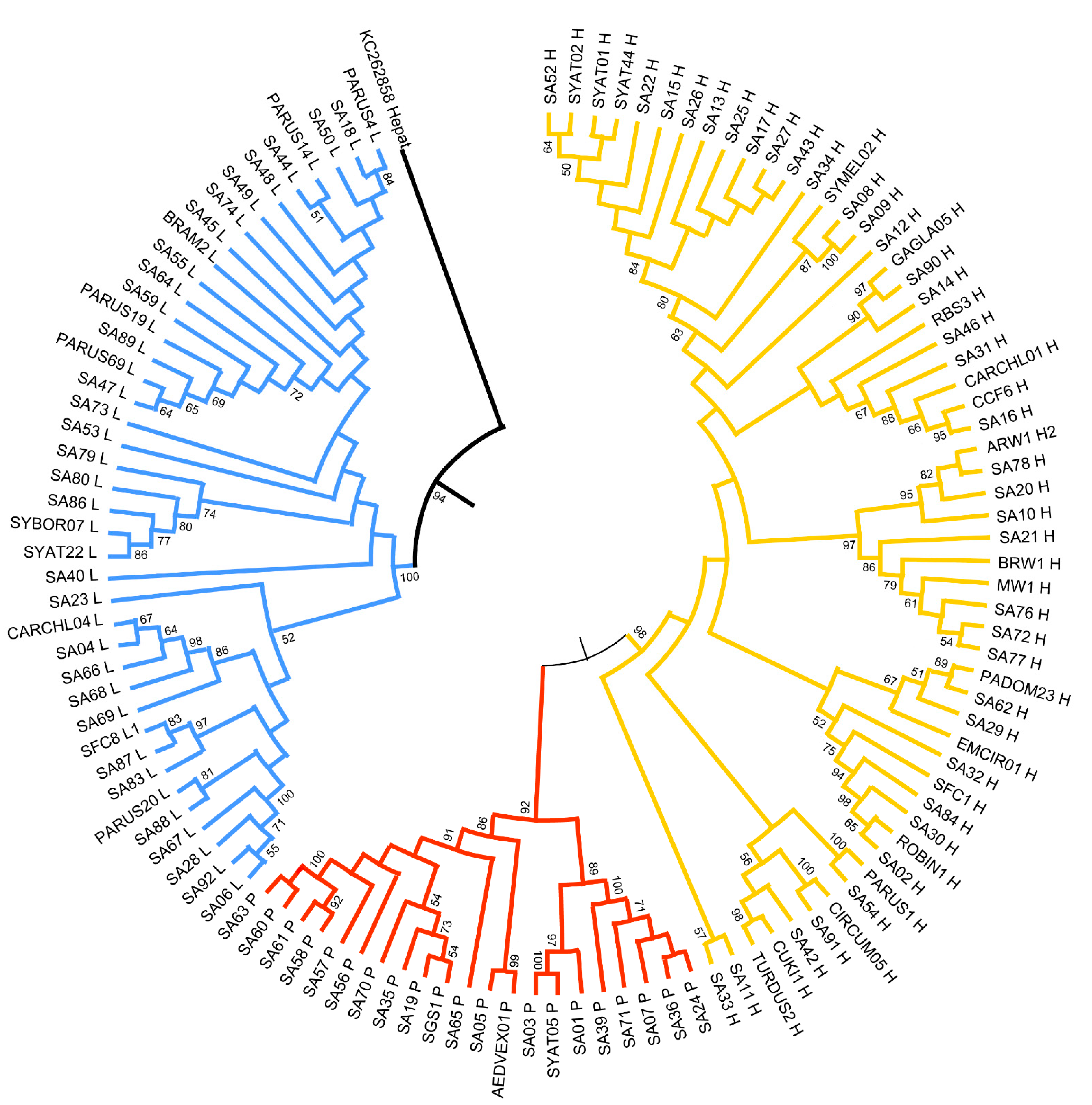 Diversity 13 00075 g003
