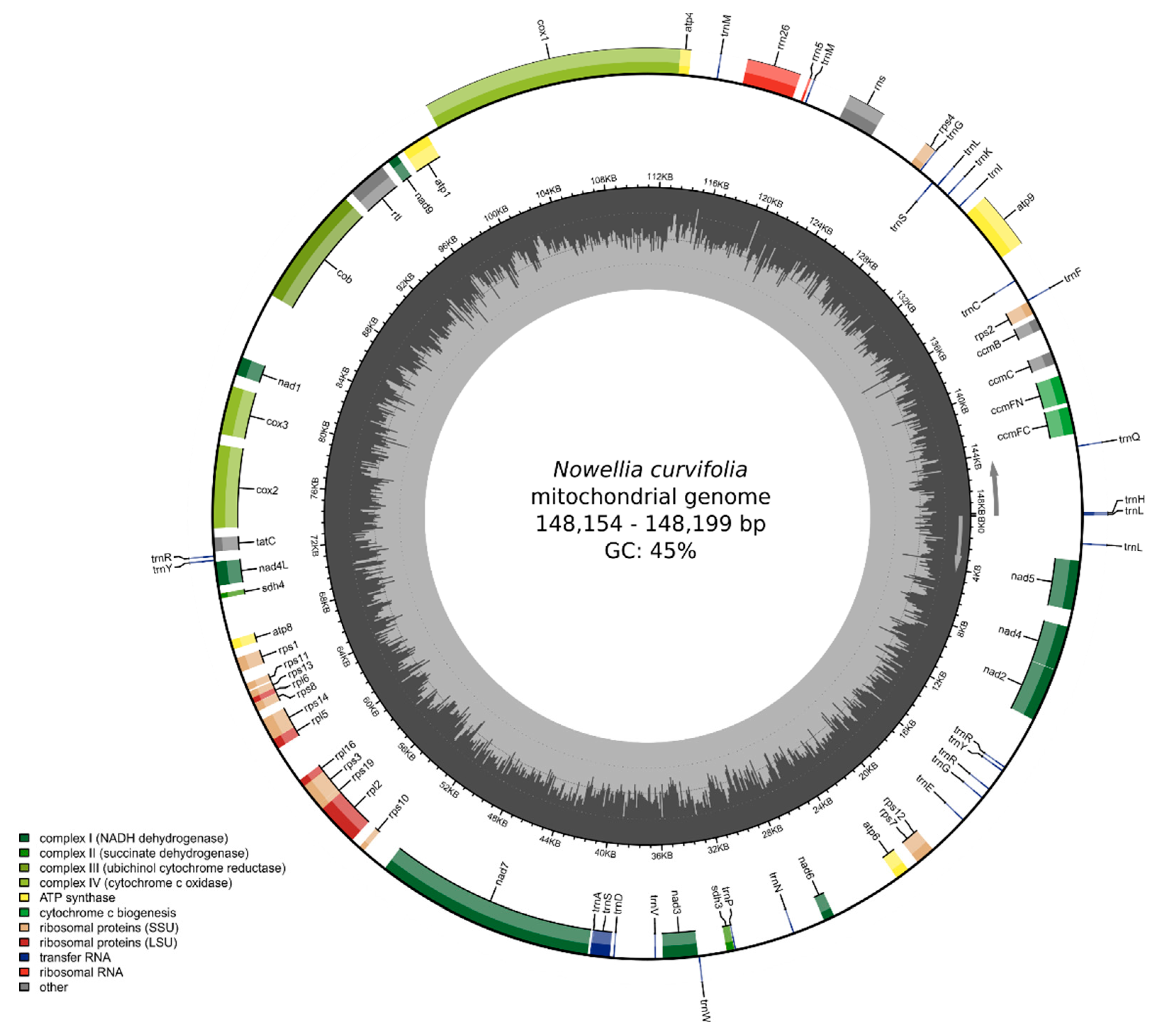Diversity 13 00081 g002