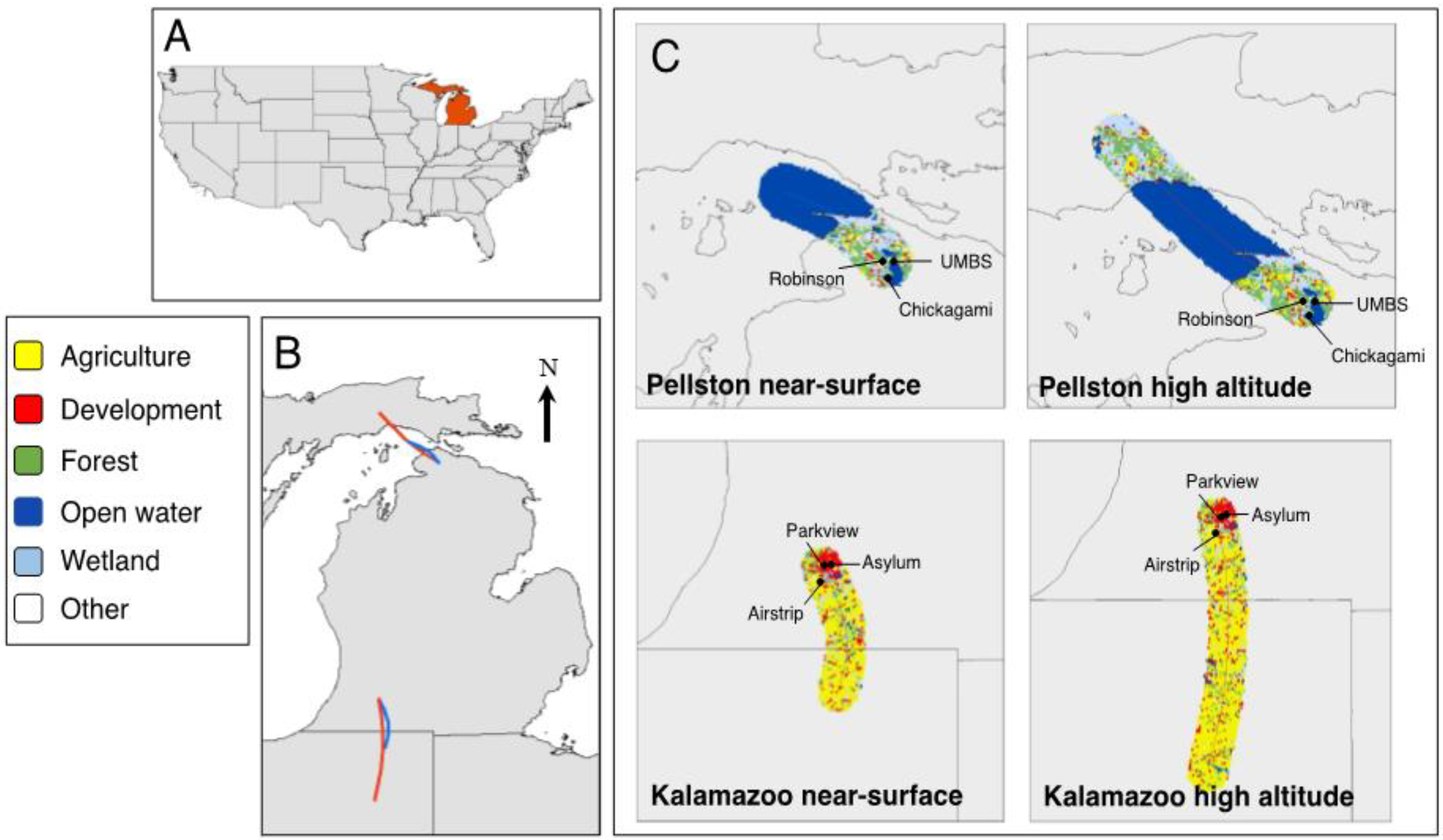 Diversity 13 00085 g001