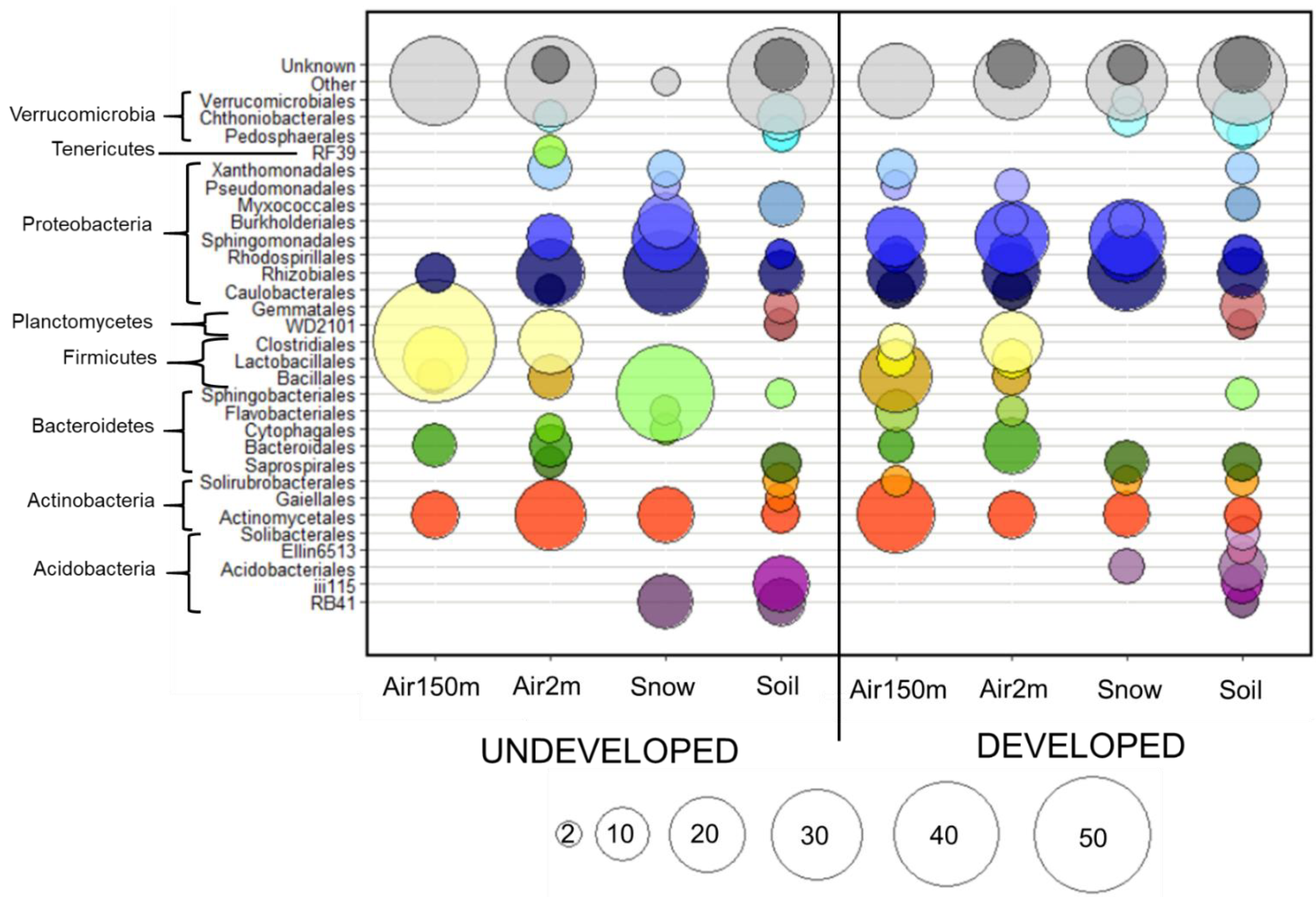 Diversity 13 00085 g003