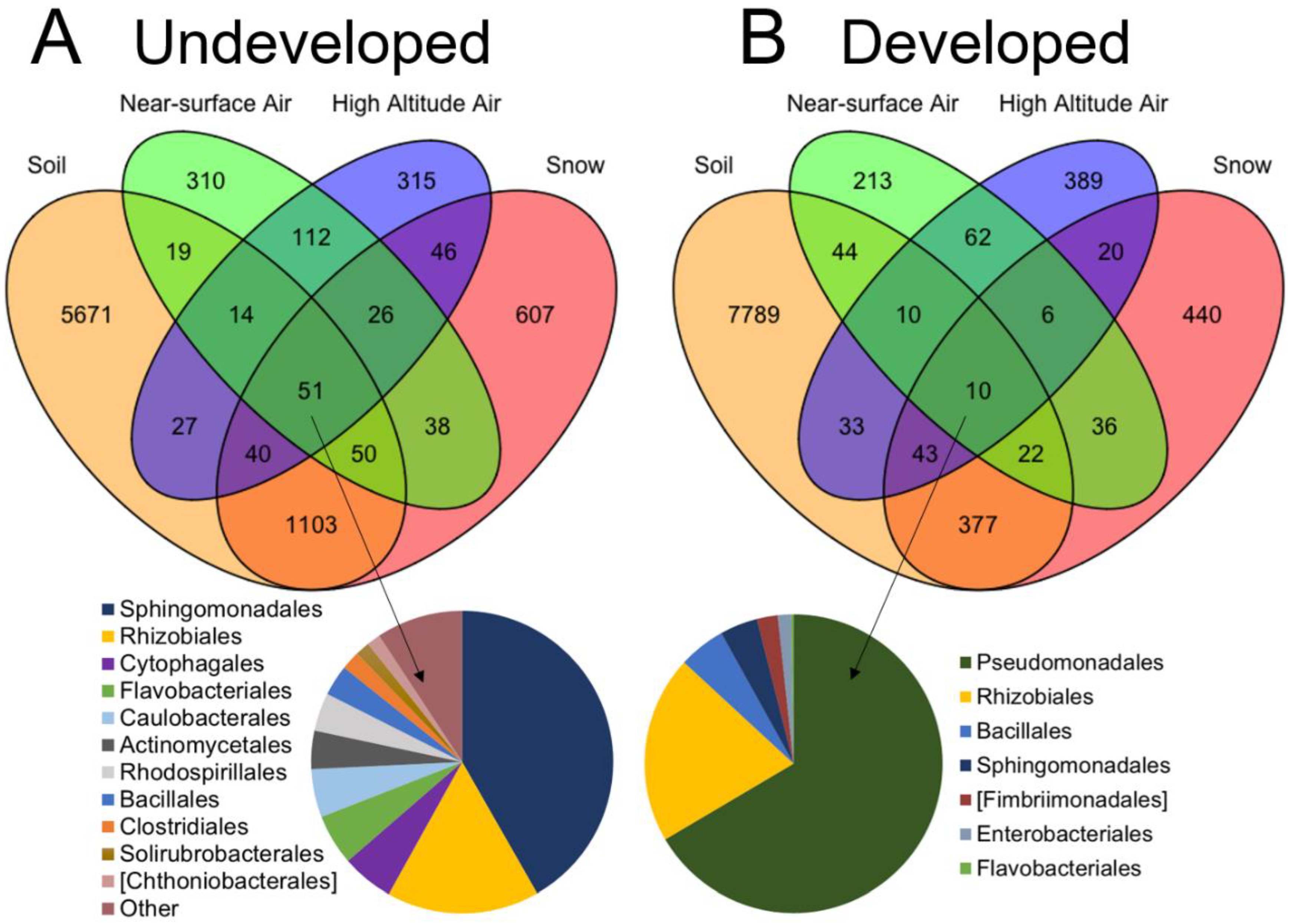 Diversity 13 00085 g005