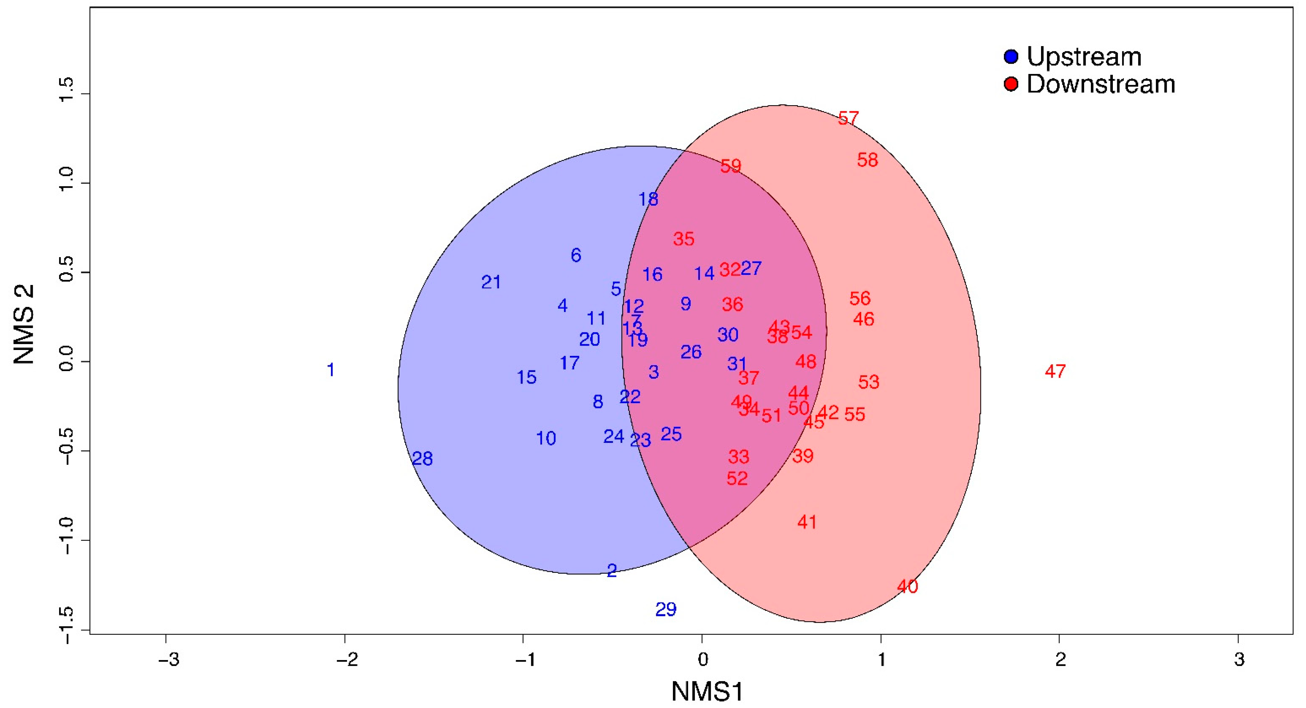 Diversity 13 00086 g002