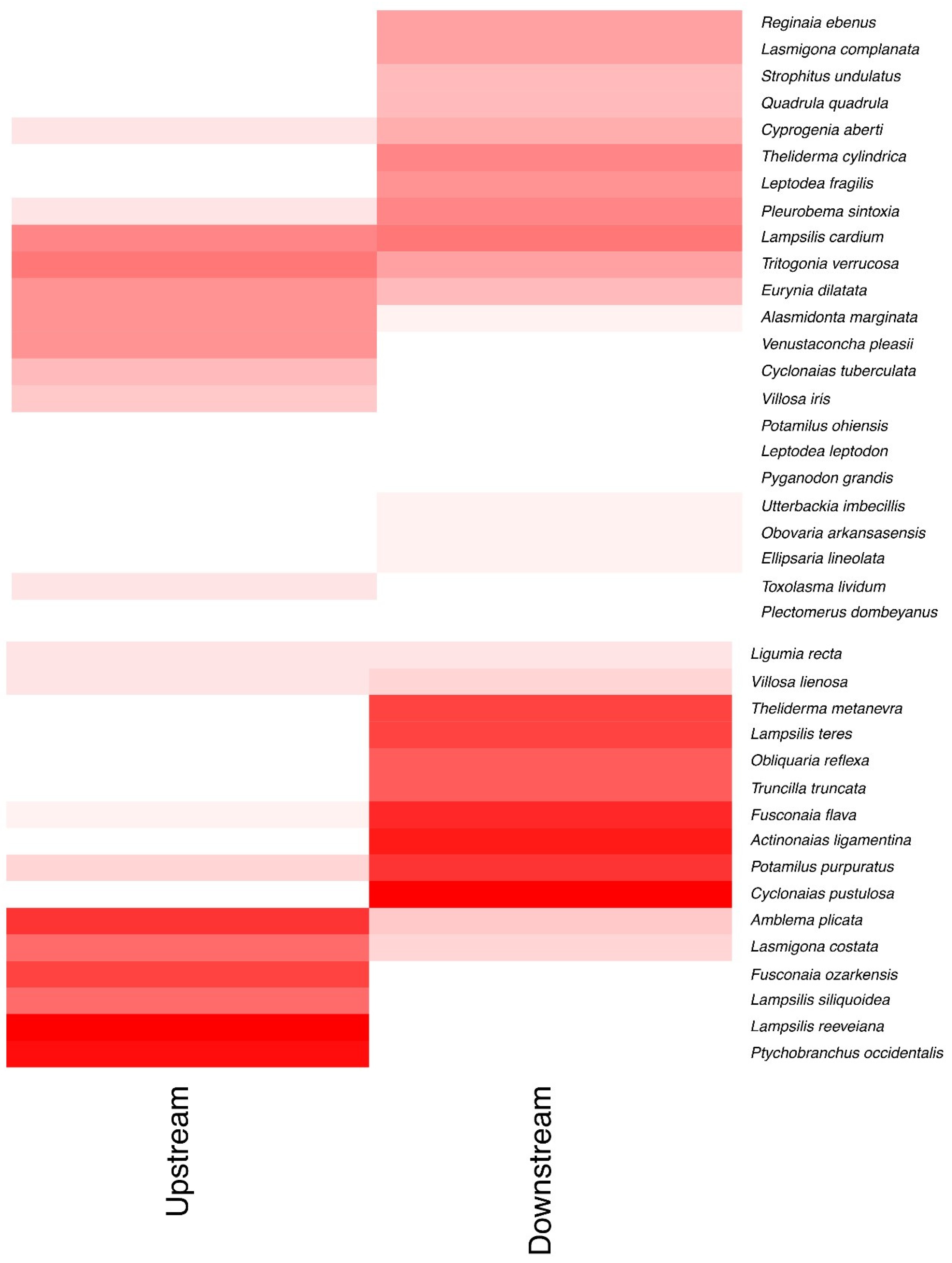 Diversity 13 00086 g003