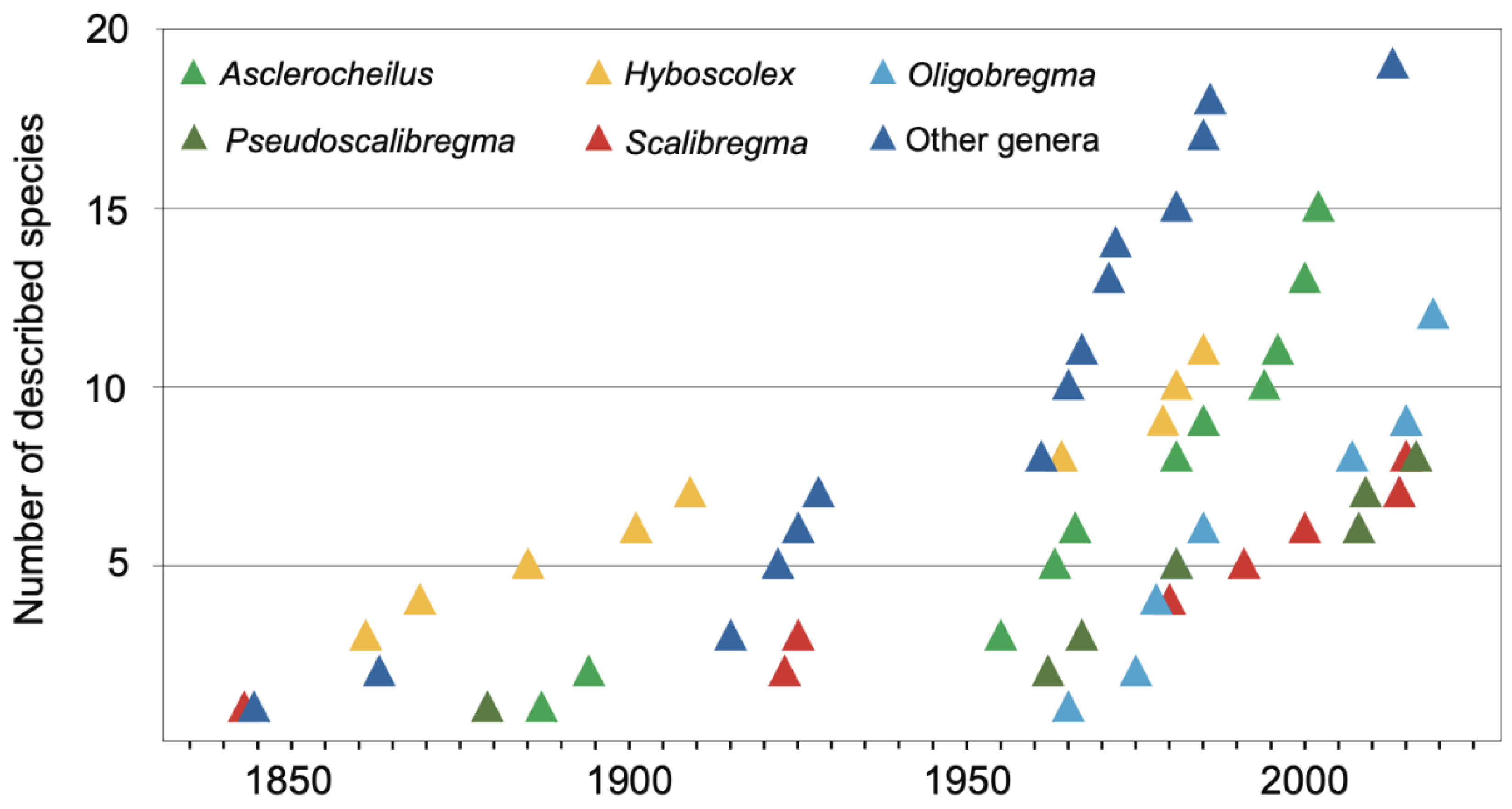 Diversity 13 00087 g008
