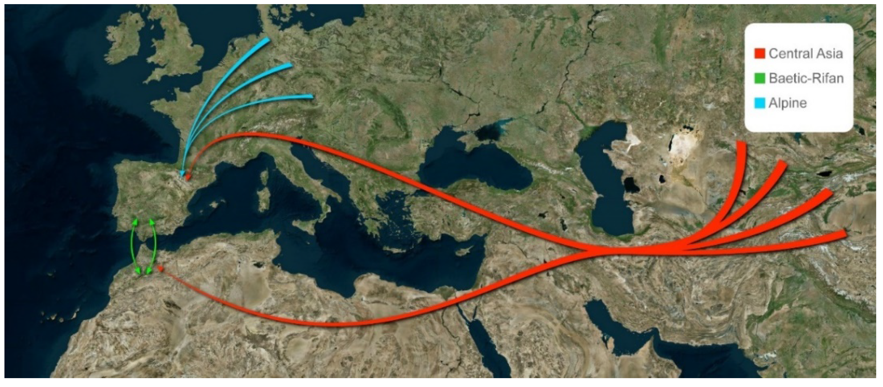 Diversity 13 00088 g009