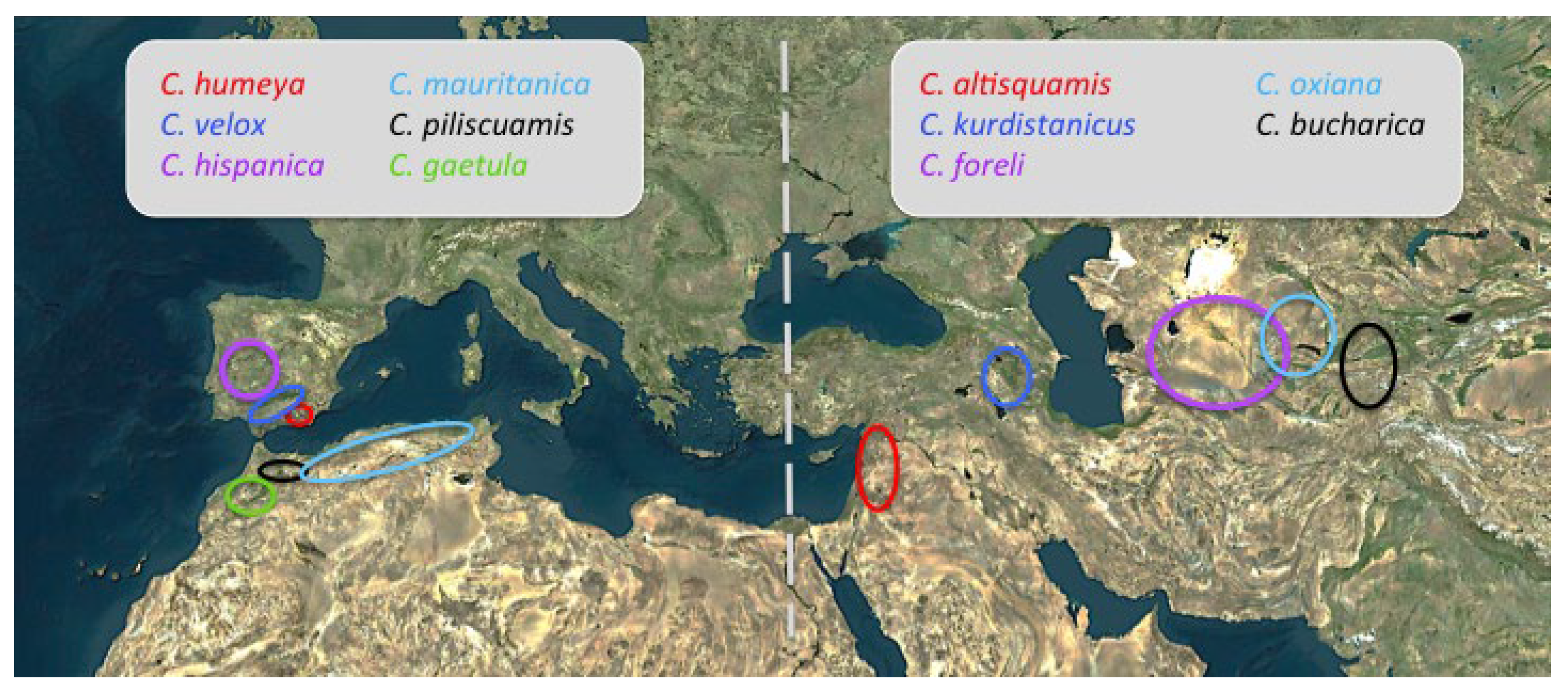 Diversity 13 00088 g010