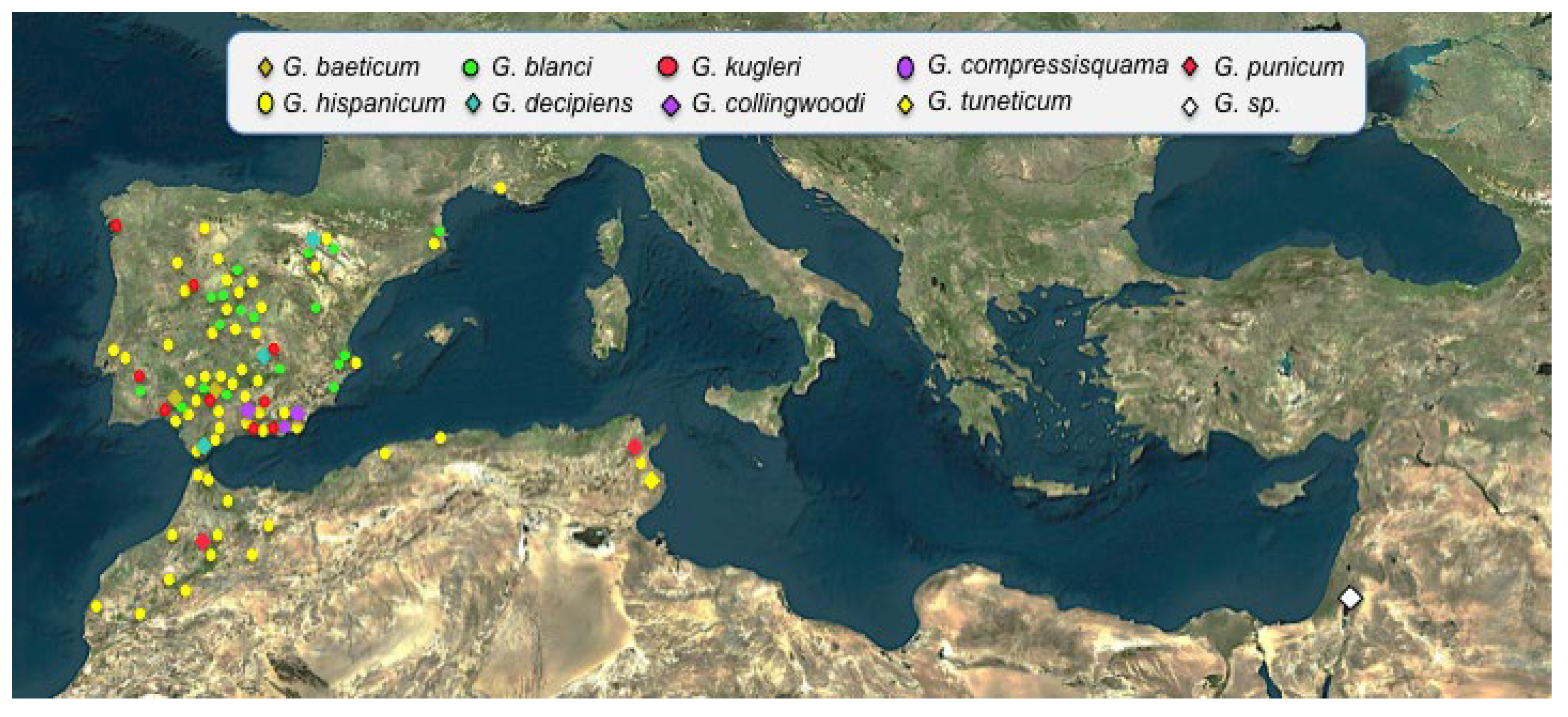Diversity 13 00088 g011