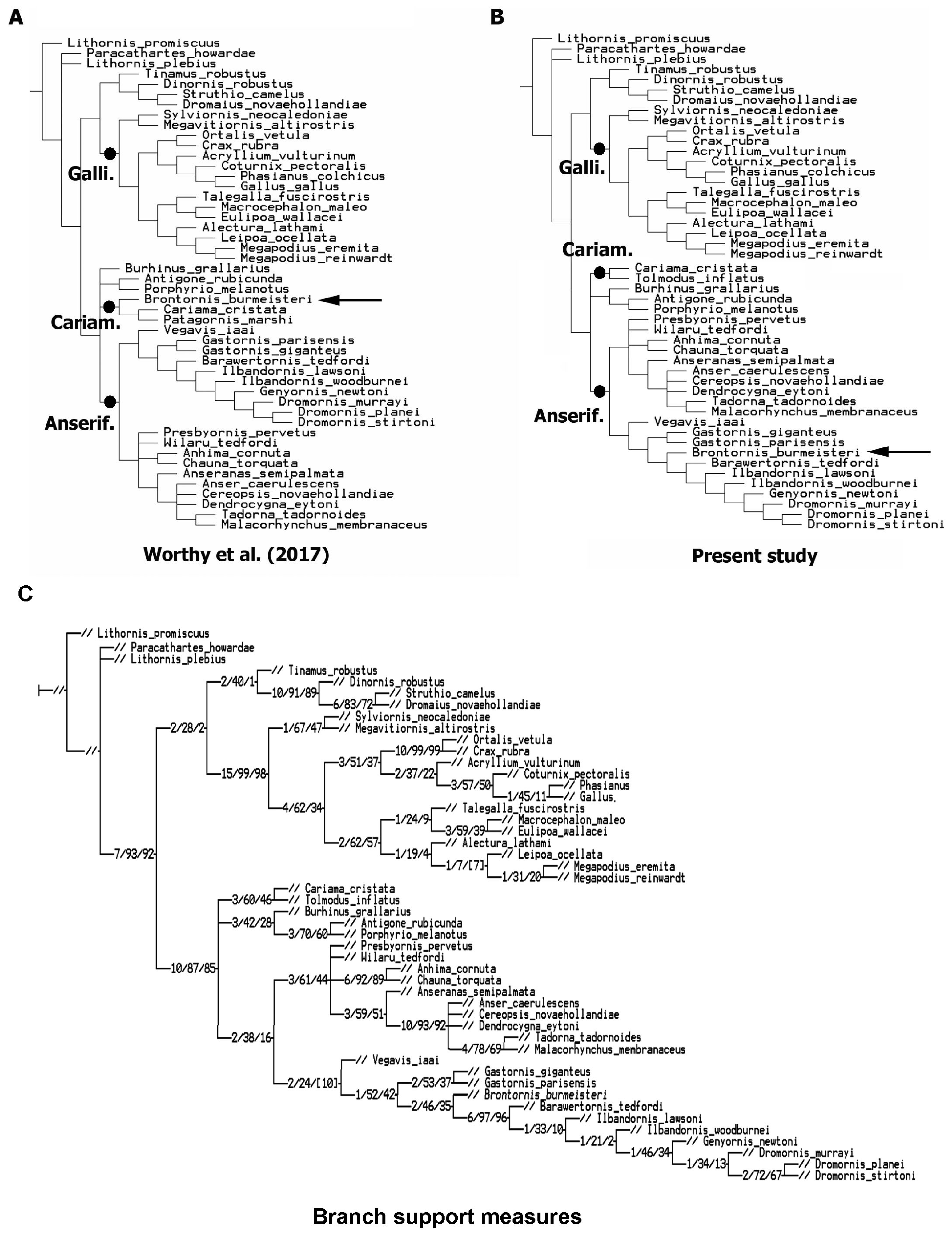 Diversity 13 00090 g001