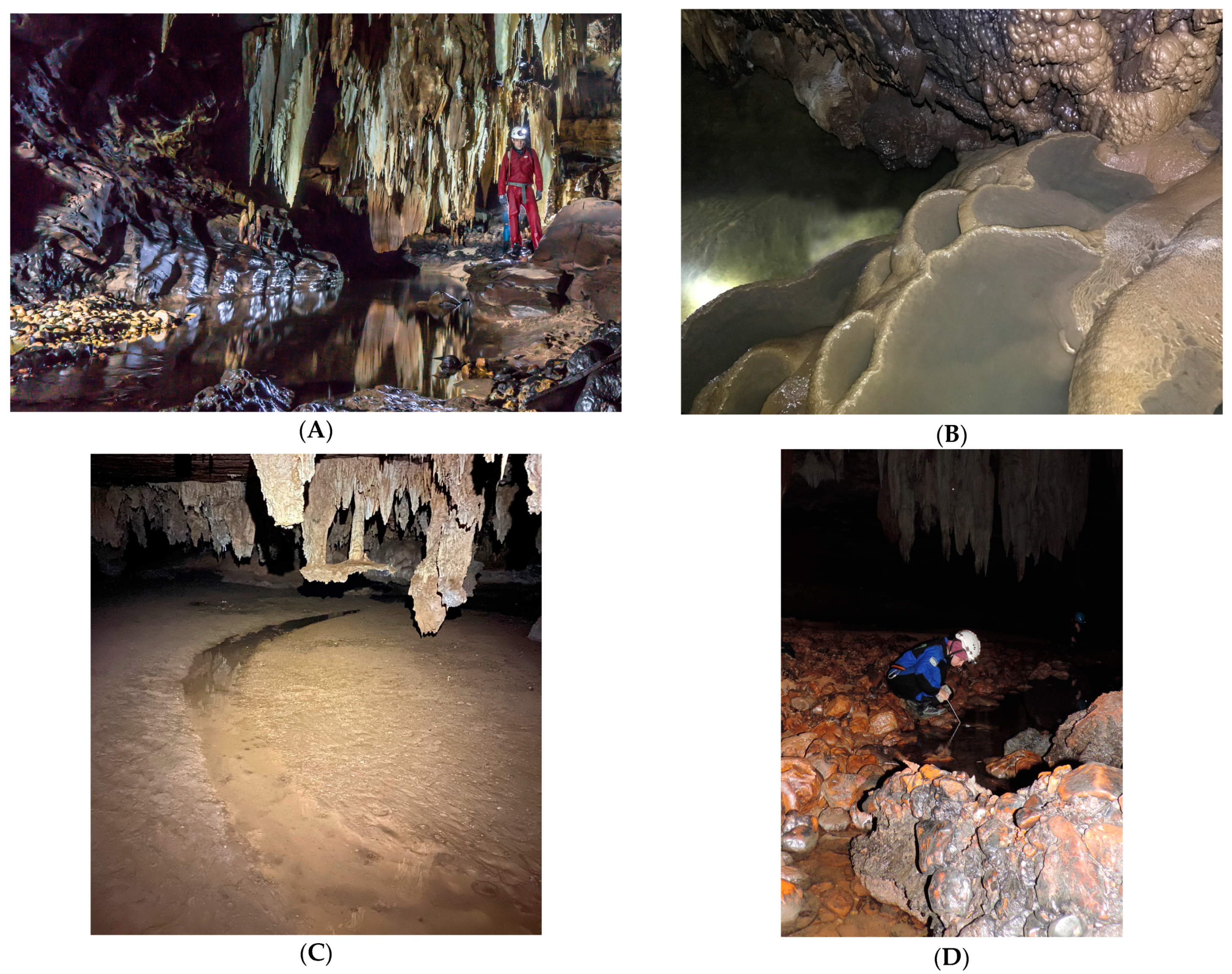 Diversity 13 00091 g003