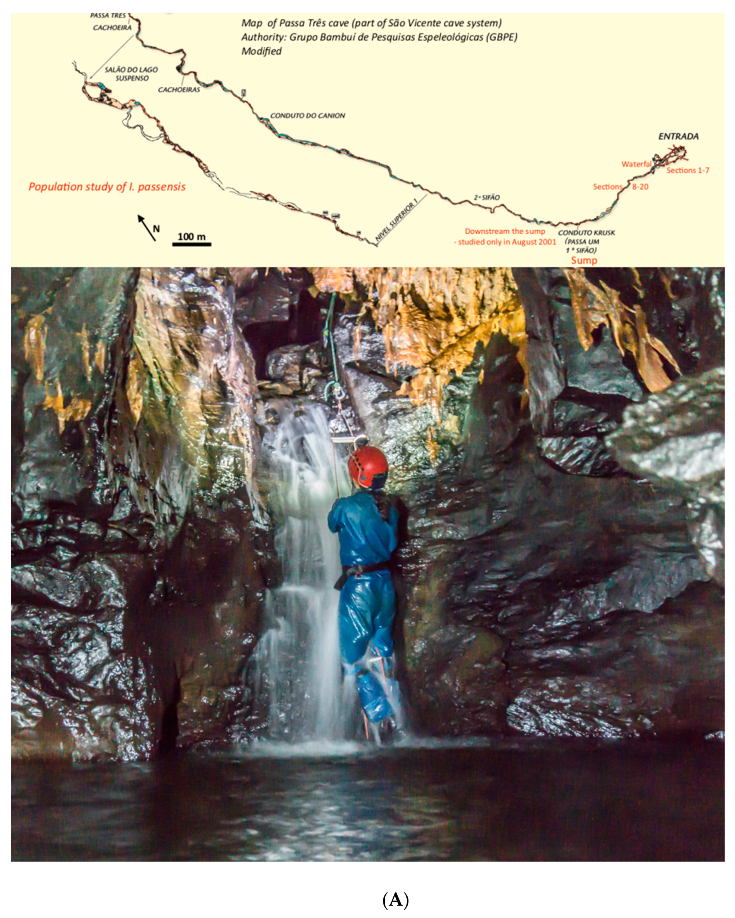 Diversity 13 00091 g004a