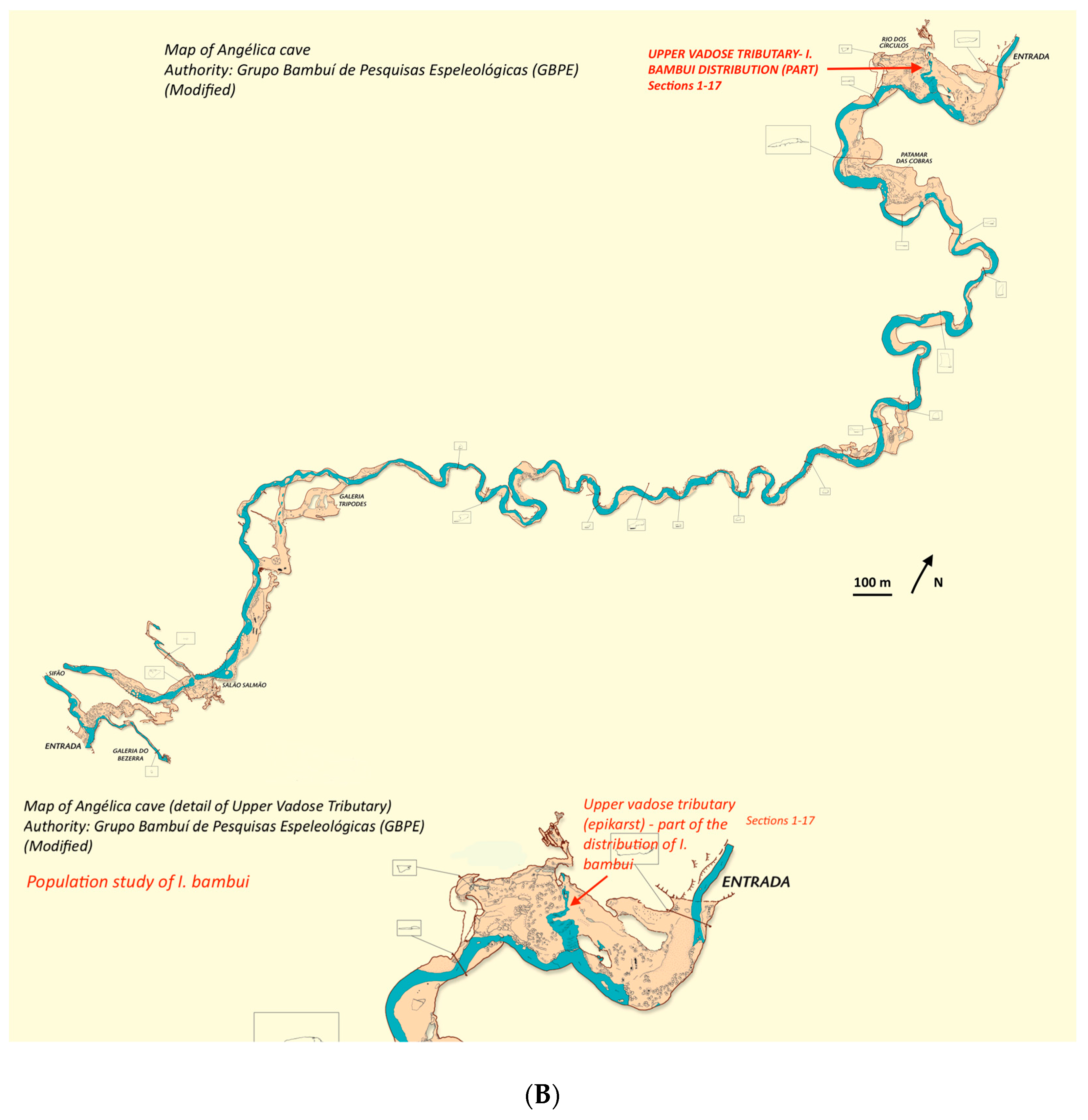 Diversity 13 00091 g004b