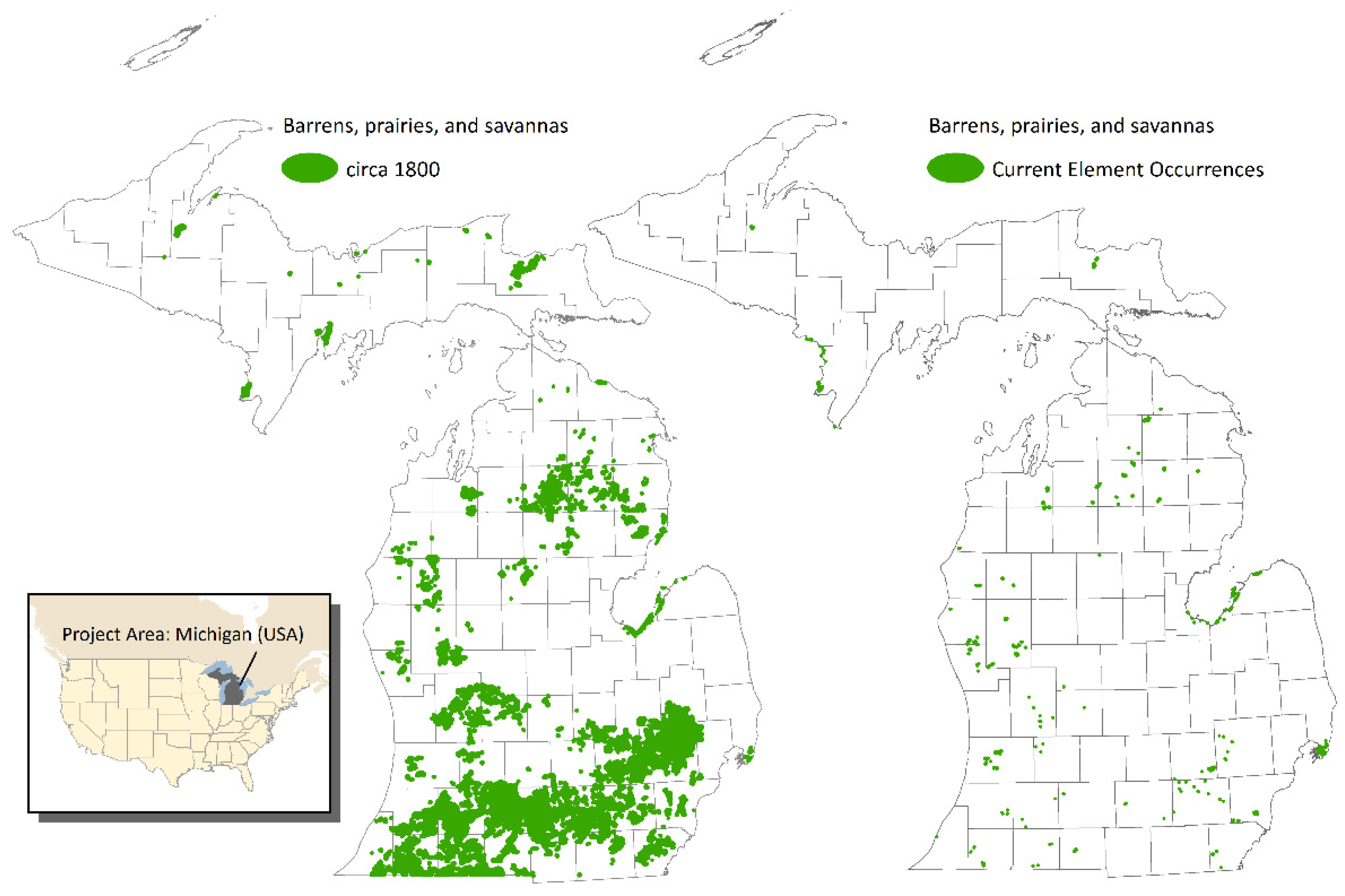 Diversity 13 00100 g001