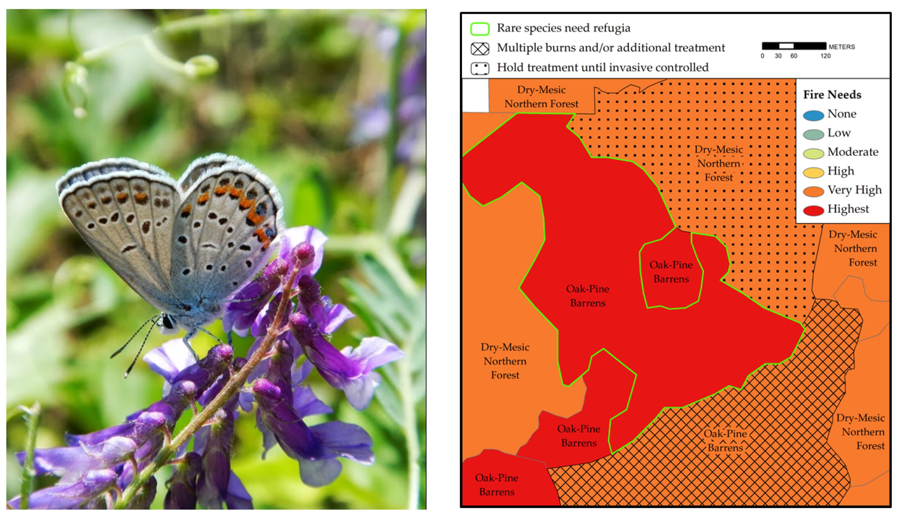 Diversity 13 00100 g013