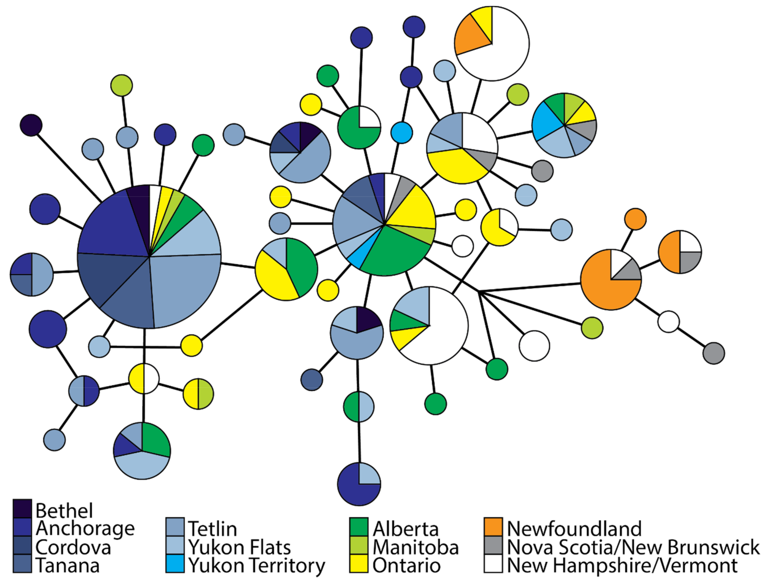 Diversity 13 00103 g003