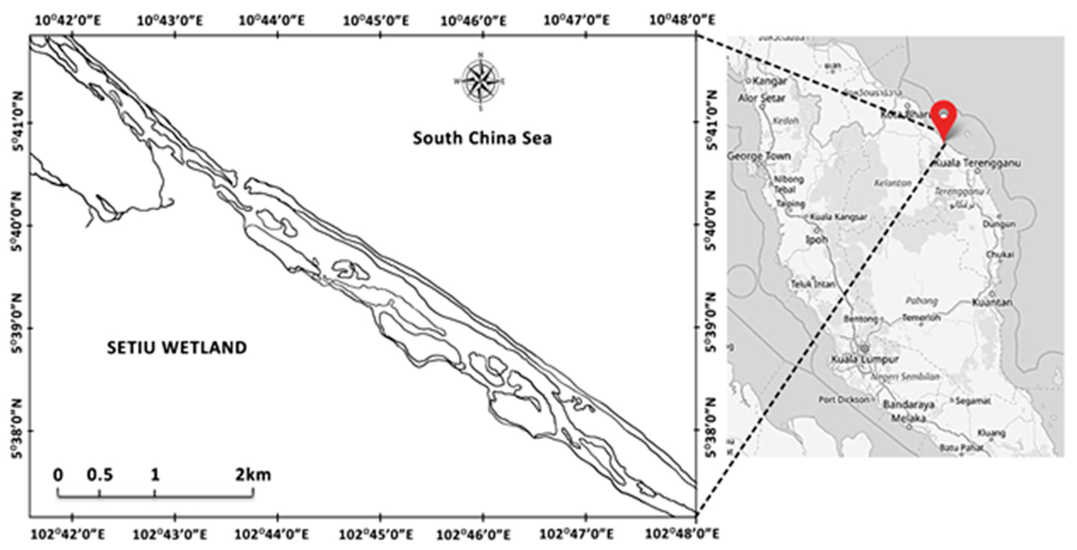 Diversity 13 00105 g001