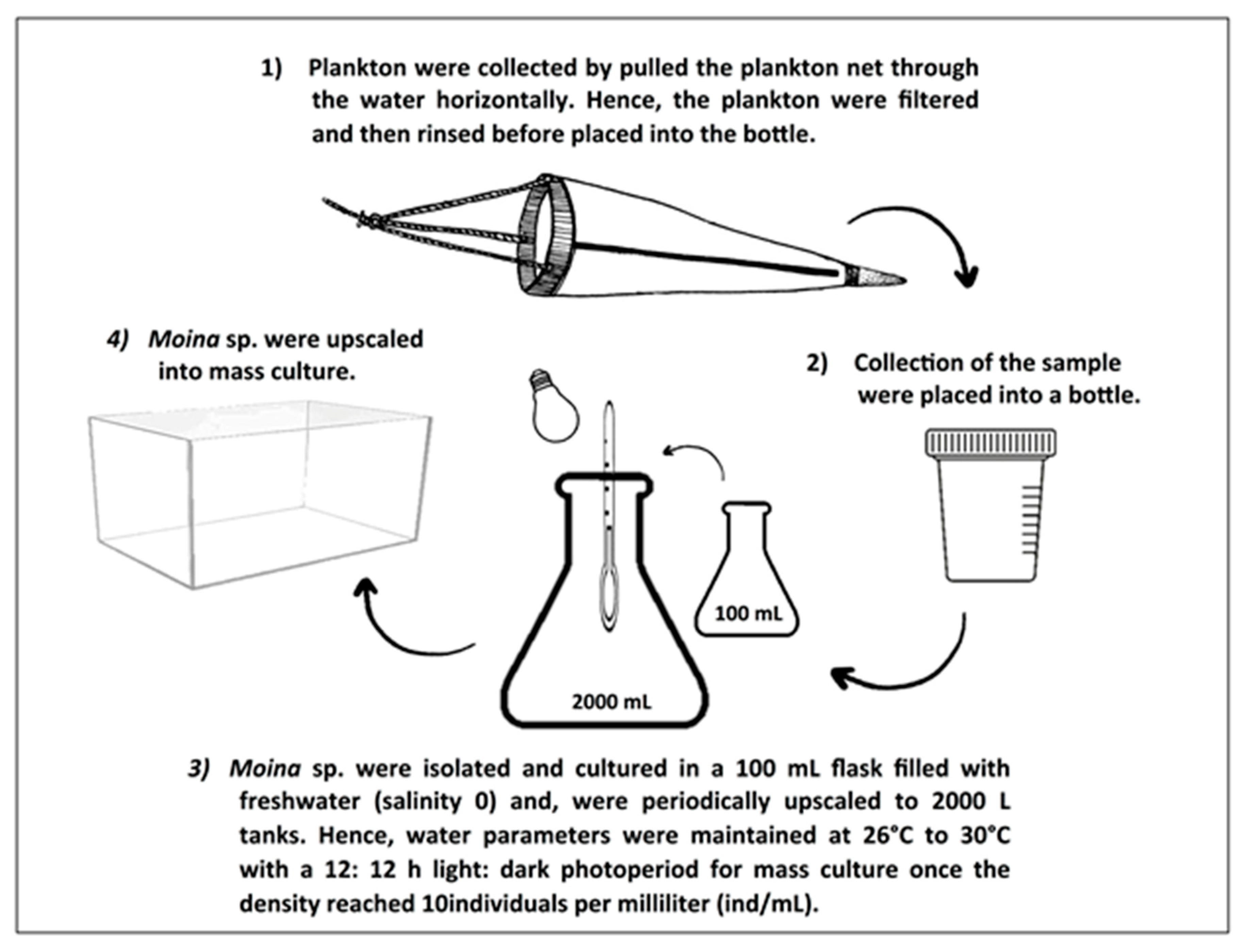 Diversity 13 00105 g002
