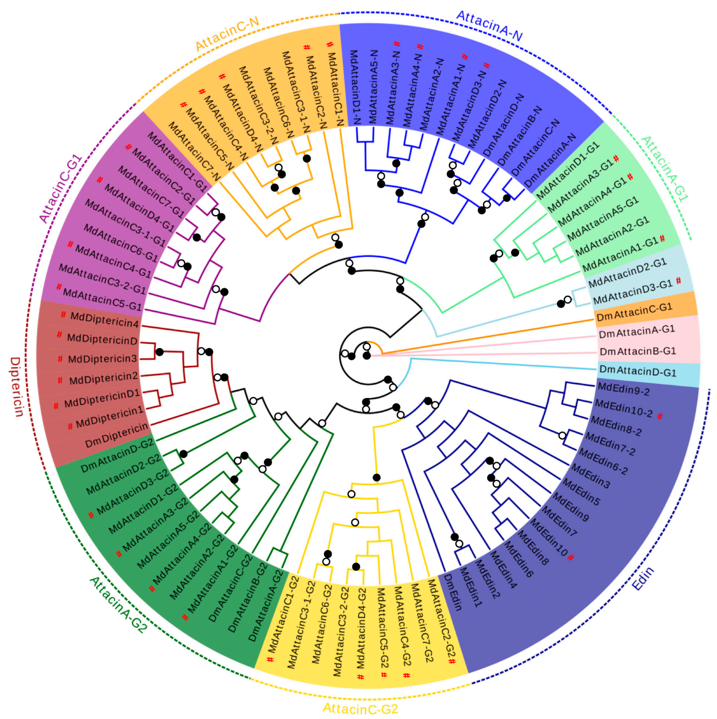 Diversity 13 00107 g009