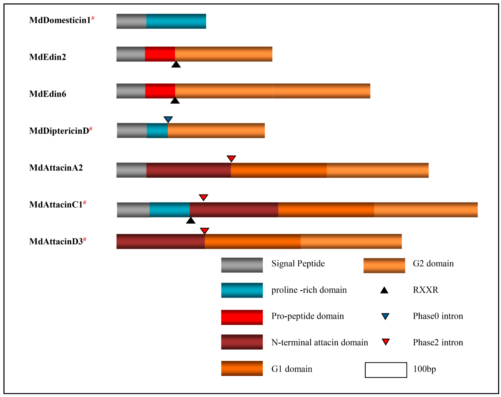 Diversity 13 00107 g010