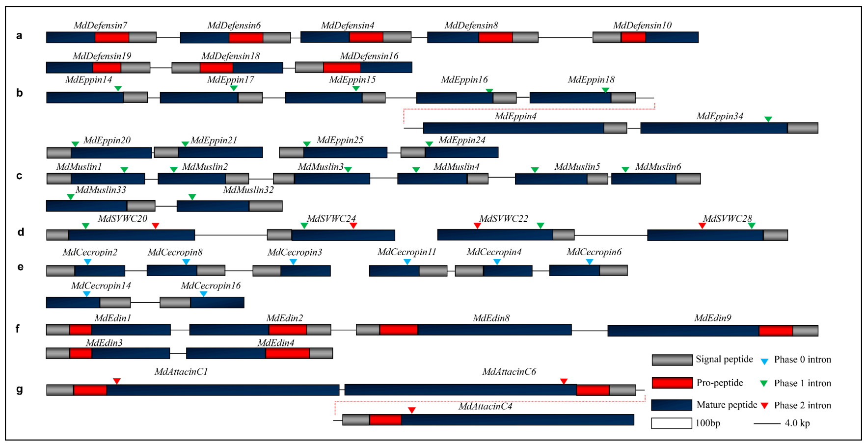 Diversity 13 00107 g011