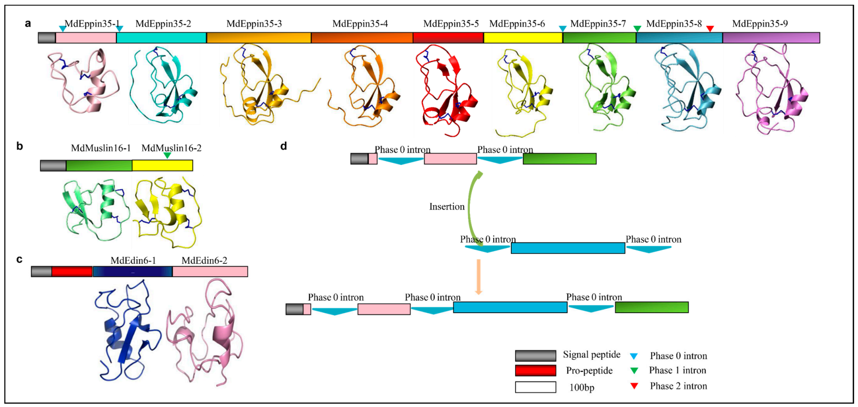 Diversity 13 00107 g012