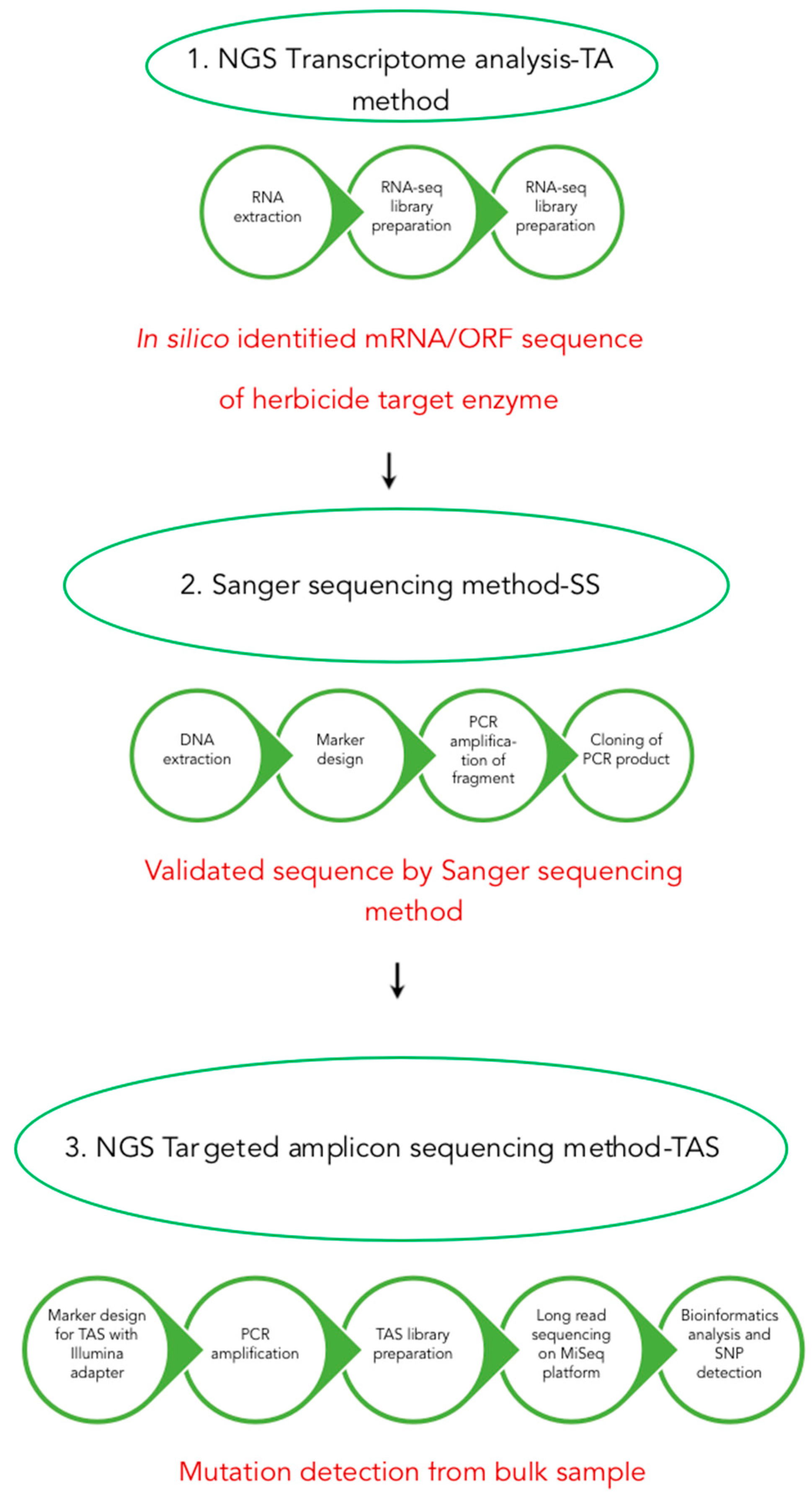 Diversity 13 00118 g001