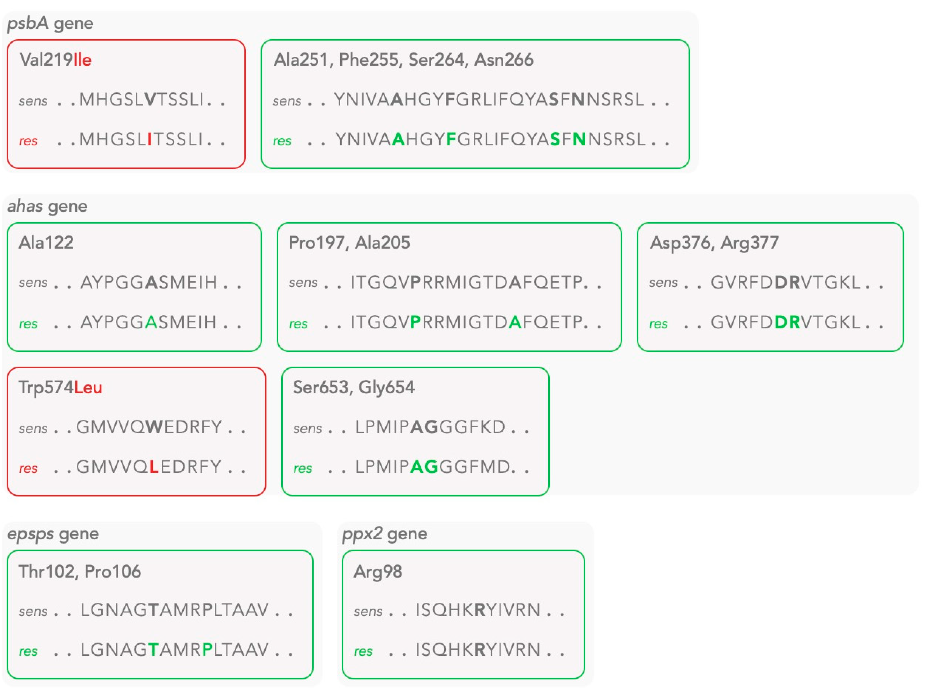 Diversity 13 00118 g003