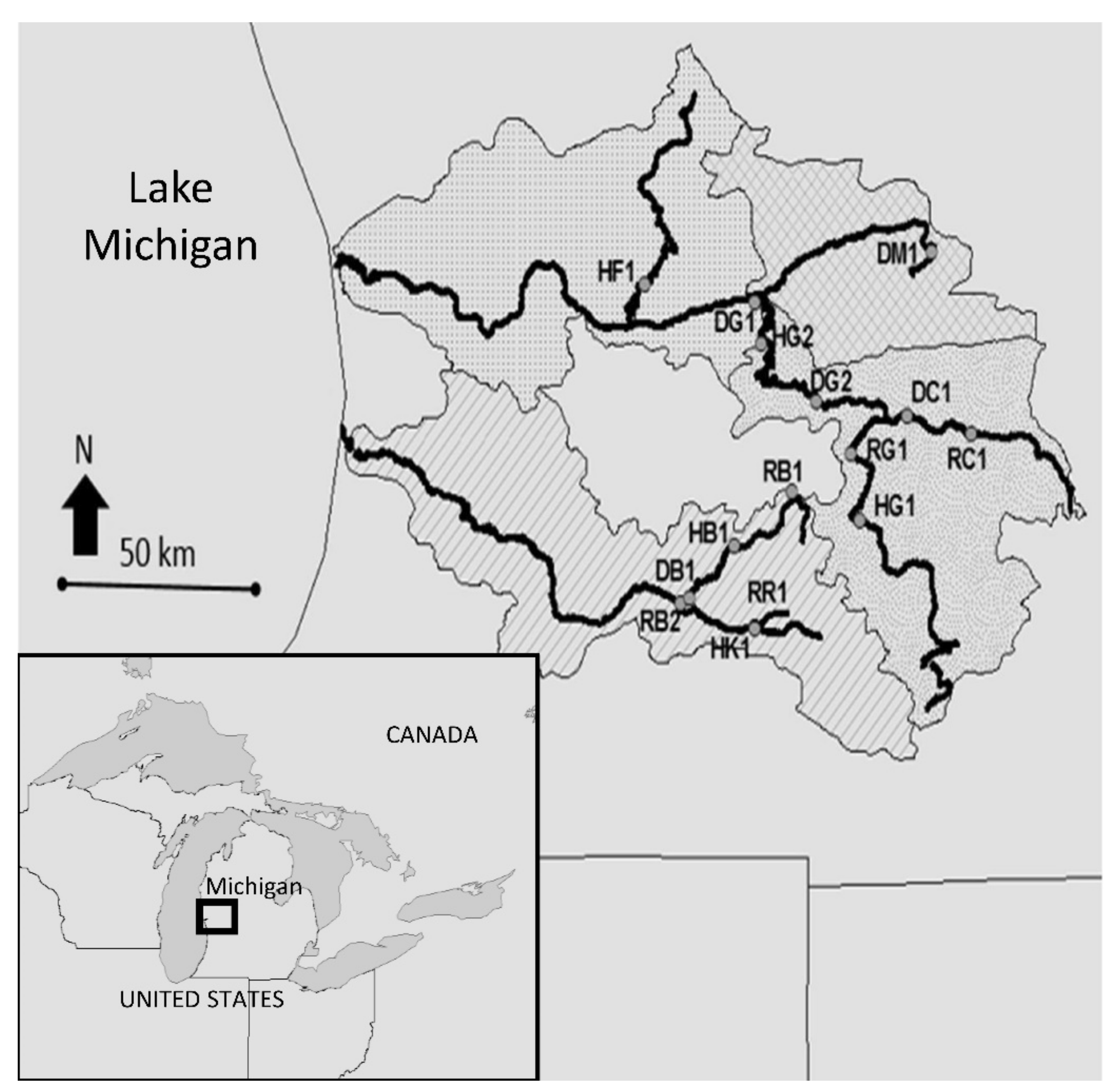 Diversity 13 00119 g001