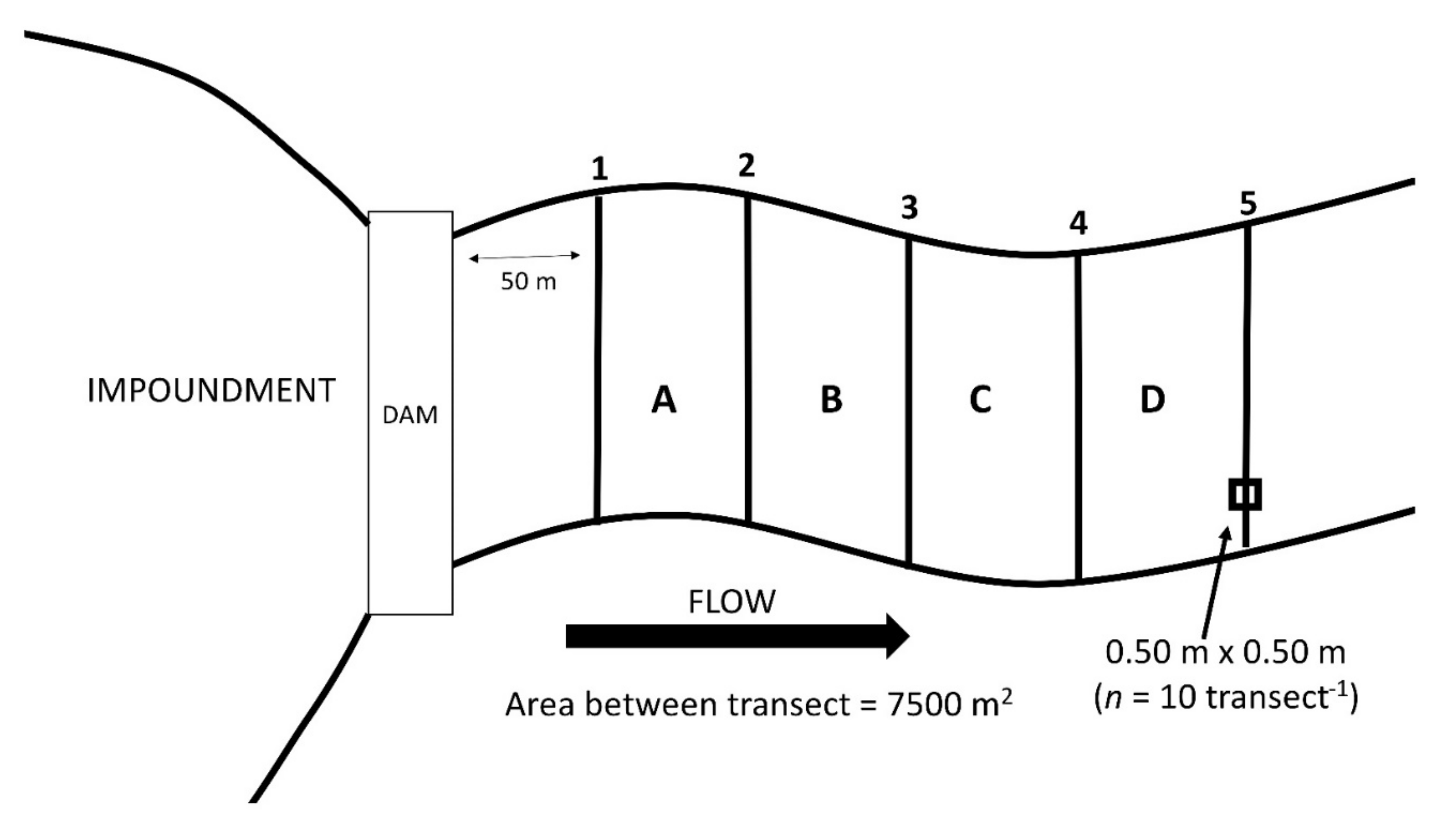Diversity 13 00119 g002