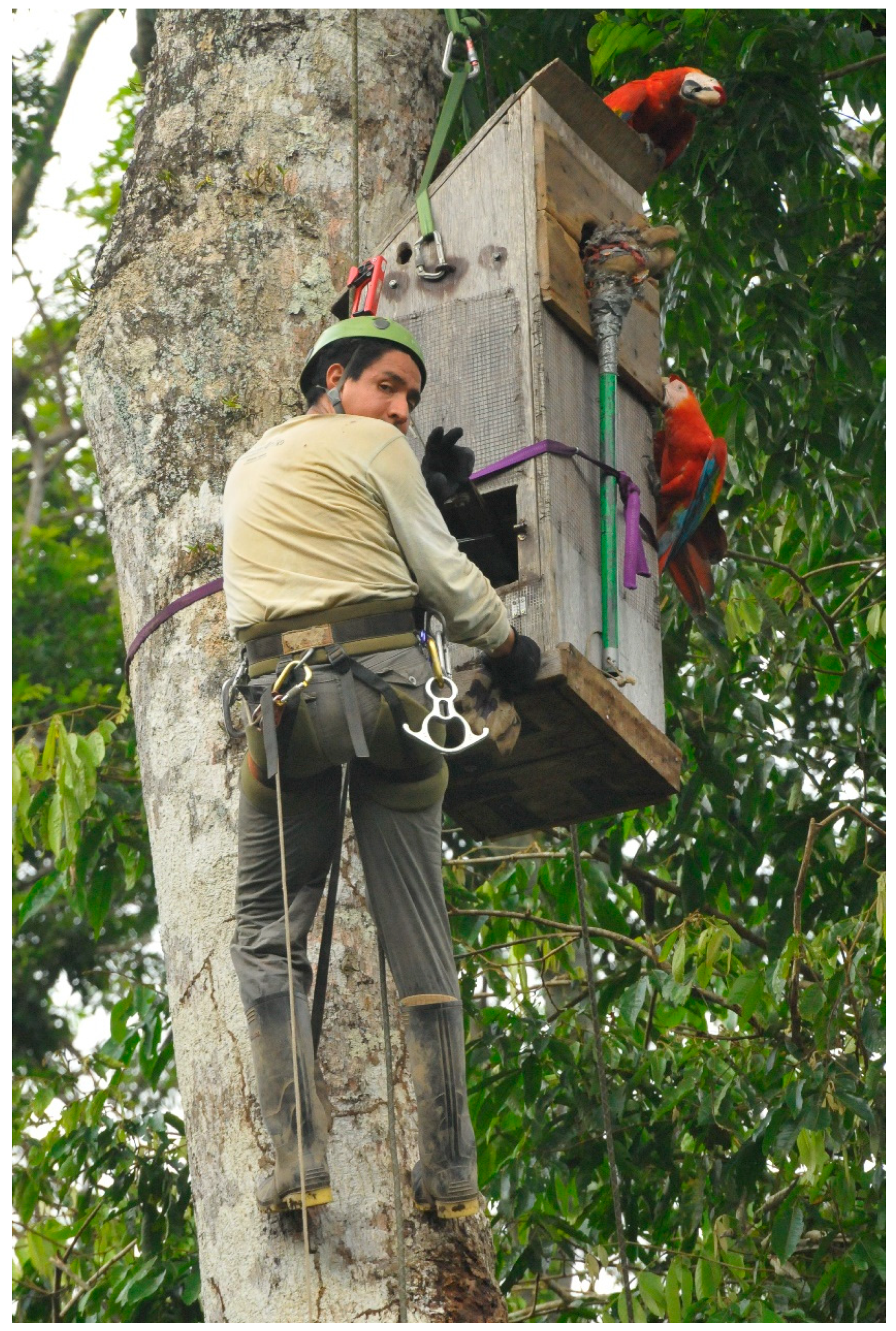 Diversity 13 00121 g001